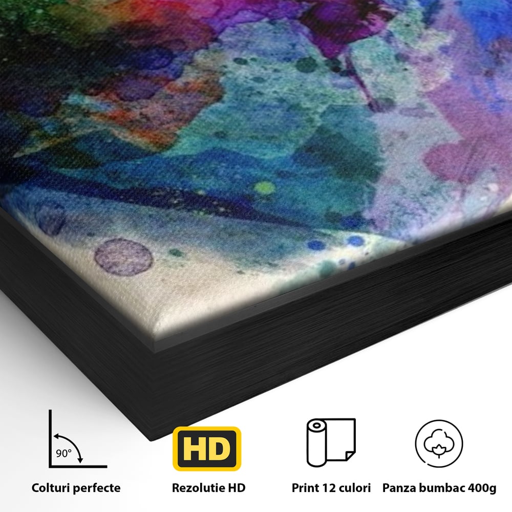 Tablou Canvas Premium LuxCanva® E1025, Suflet Pictat, Arta, Exprimare, Artistica, Inima, Emotie, Living Room, Culori vibrante