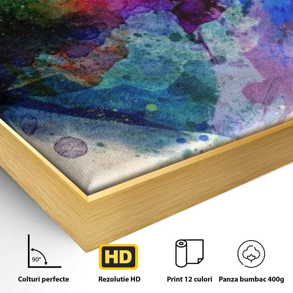 Tablou Canvas Premium LuxCanva® E1025, Suflet Pictat, Arta, Exprimare, Artistica, Inima, Emotie, Living Room, Culori vibrante