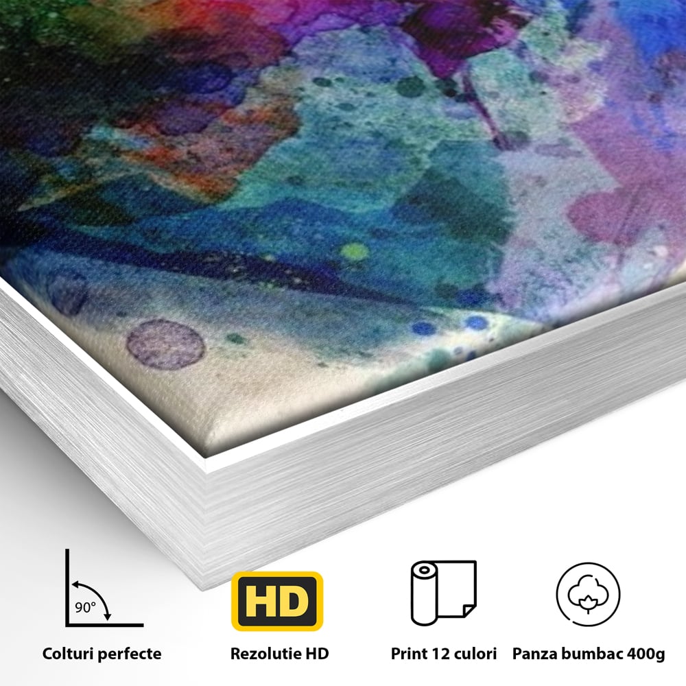 Tablou Canvas Premium LuxCanva® E1025, Suflet Pictat, Arta, Exprimare, Artistica, Inima, Emotie, Living Room, Culori vibrante