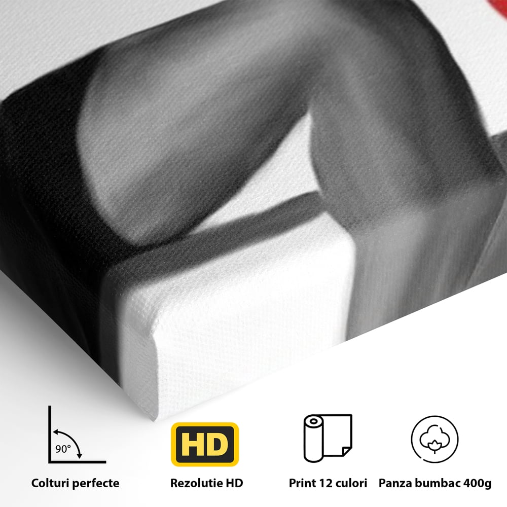 Tablou Canvas Premium LuxCanva® E1026, Stiletto Rosu, Pantofi, Tocuri, Feminitate, Seductie, Femeie, Living Room, Culori vibrante