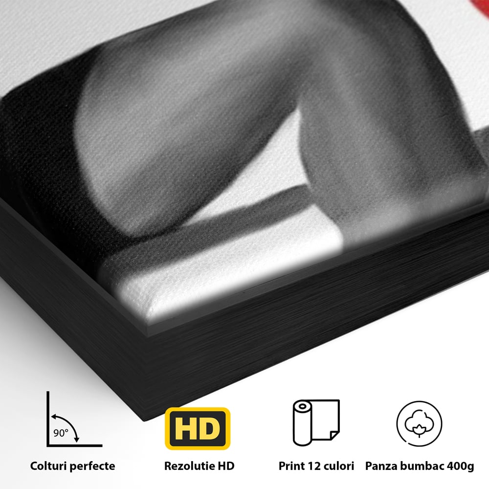 Tablou Canvas Premium LuxCanva® E1026, Stiletto Rosu, Pantofi, Tocuri, Feminitate, Seductie, Femeie, Living Room, Culori vibrante