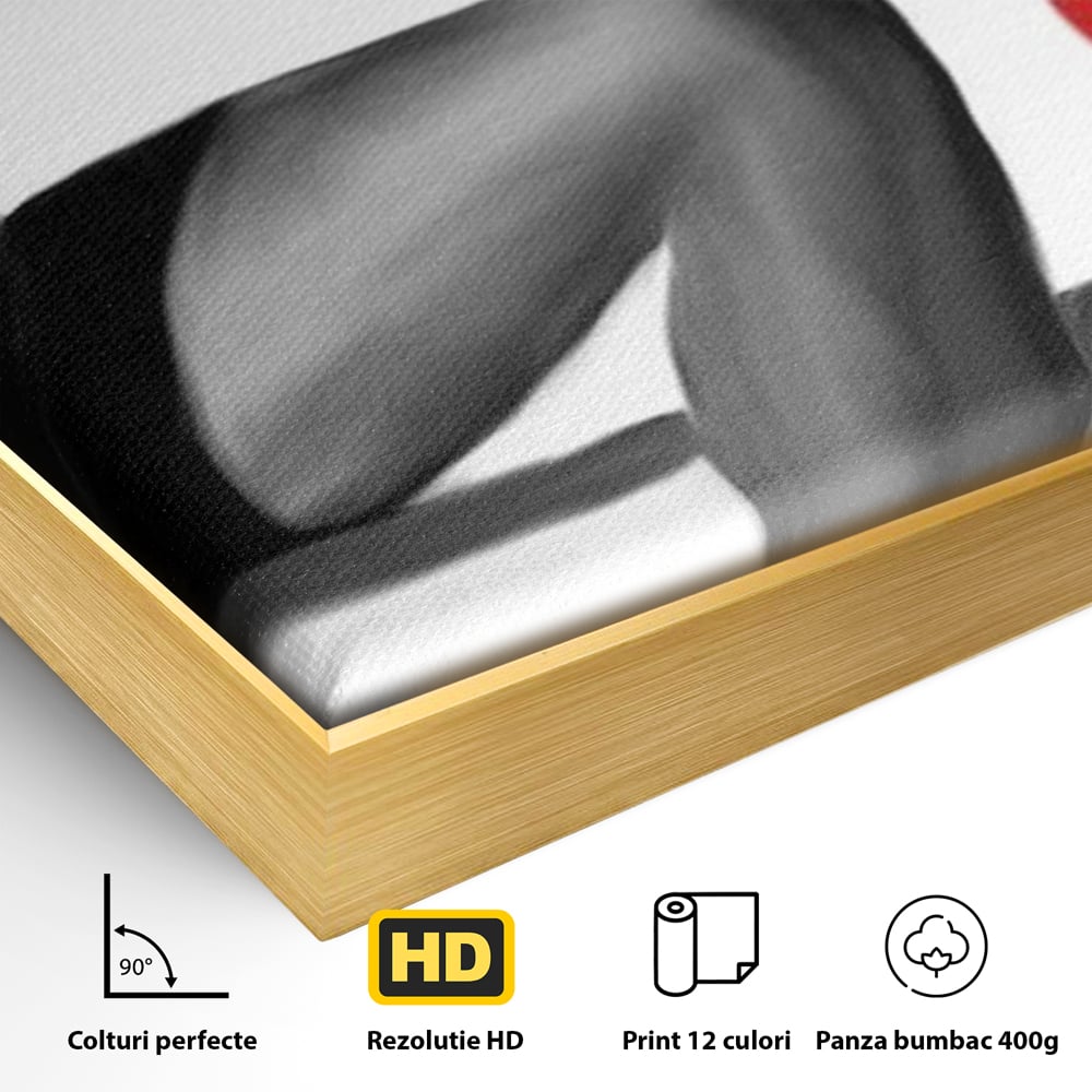 Tablou Canvas Premium LuxCanva® E1026, Stiletto Rosu, Pantofi, Tocuri, Feminitate, Seductie, Femeie, Living Room, Culori vibrante