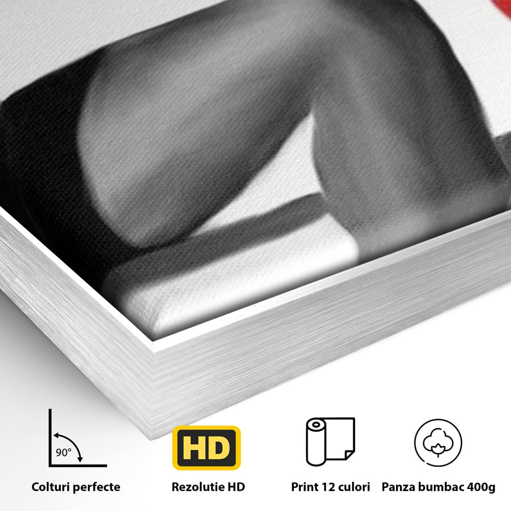 Tablou Canvas Premium LuxCanva® E1026, Stiletto Rosu, Pantofi, Tocuri, Feminitate, Seductie, Femeie, Living Room, Culori vibrante