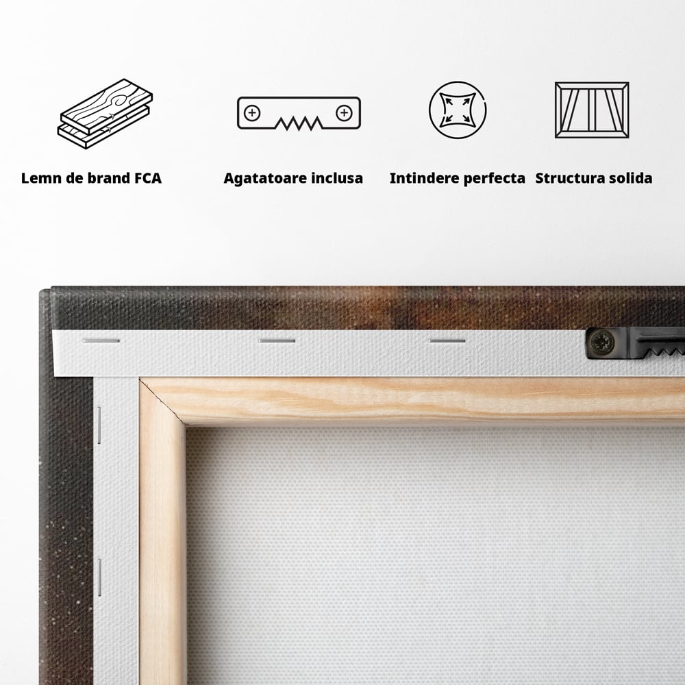 Tablou Canvas Premium LuxCanva® E1027, Iubire Dincolo de Stele, Astral, Cosmic, Univers, Indragostiti, Destin, Living Room, Culori vibrante