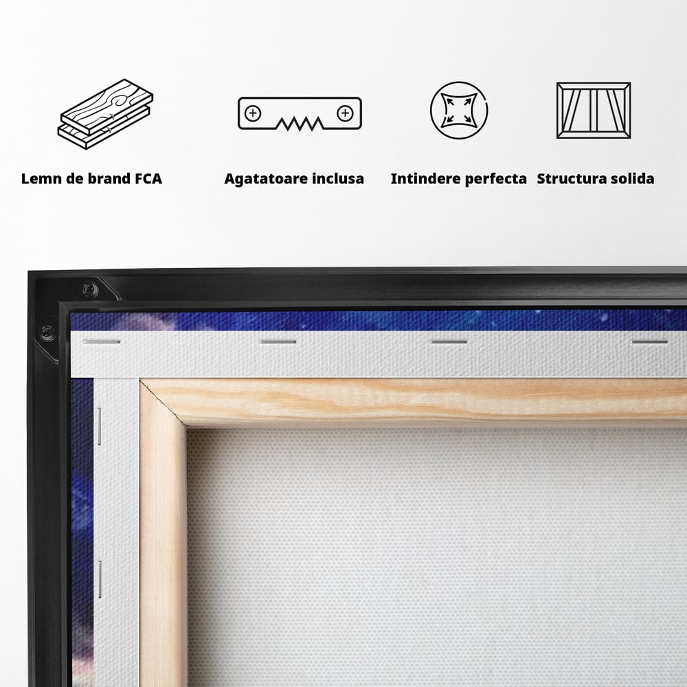 Tablou Canvas Premium LuxCanva® E1033, Sarut sub Cerul Instelat, Tandrete, Destin, Noapte, Apus, Freamat, Living Room, Culori vibrante