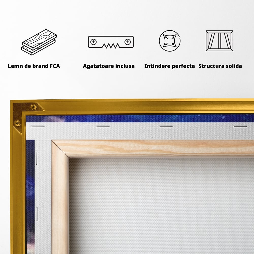 Tablou Canvas Premium LuxCanva® E1033, Sarut sub Cerul Instelat, Tandrete, Destin, Noapte, Apus, Freamat, Living Room, Culori vibrante