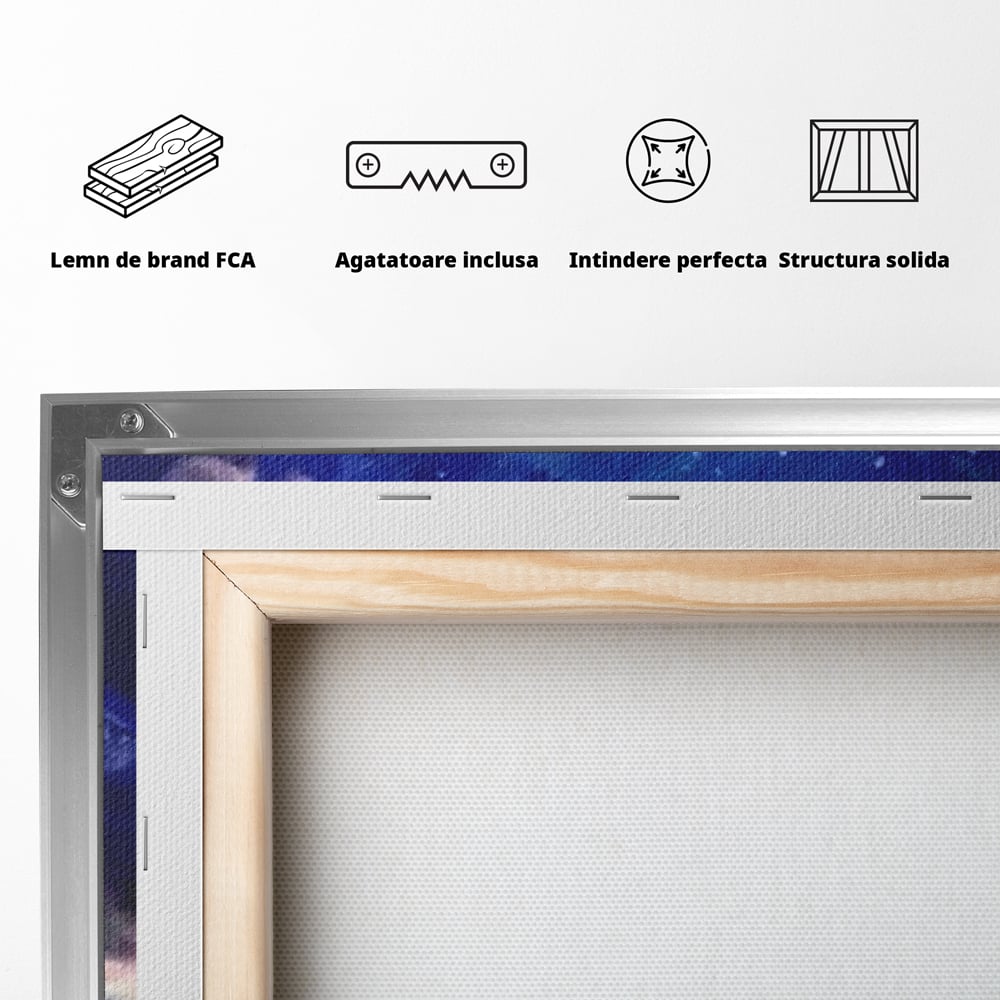Tablou Canvas Premium LuxCanva® E1033, Sarut sub Cerul Instelat, Tandrete, Destin, Noapte, Apus, Freamat, Living Room, Culori vibrante