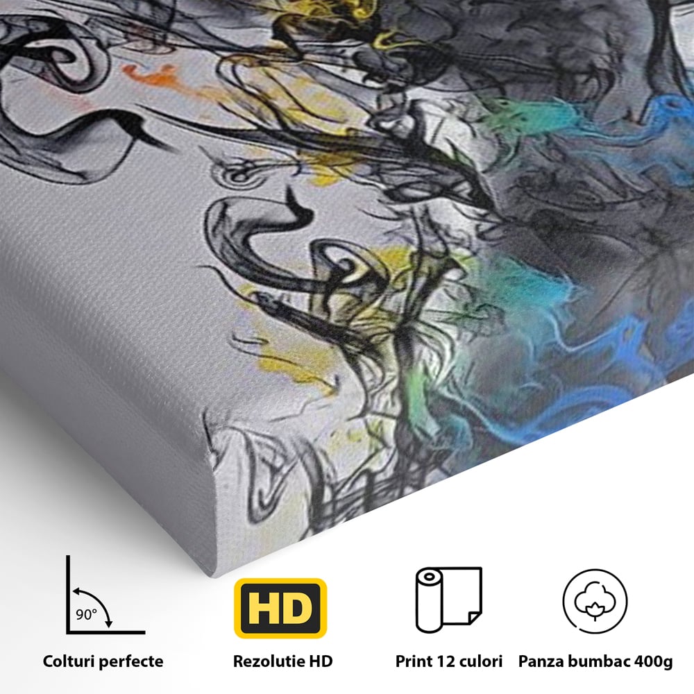 Tablou Canvas Premium LuxCanva® E1038, Femeie in Foc si Fum, Ardere, Foc, Fum, Femeie, Renastere, Living Room, Culori vibrante