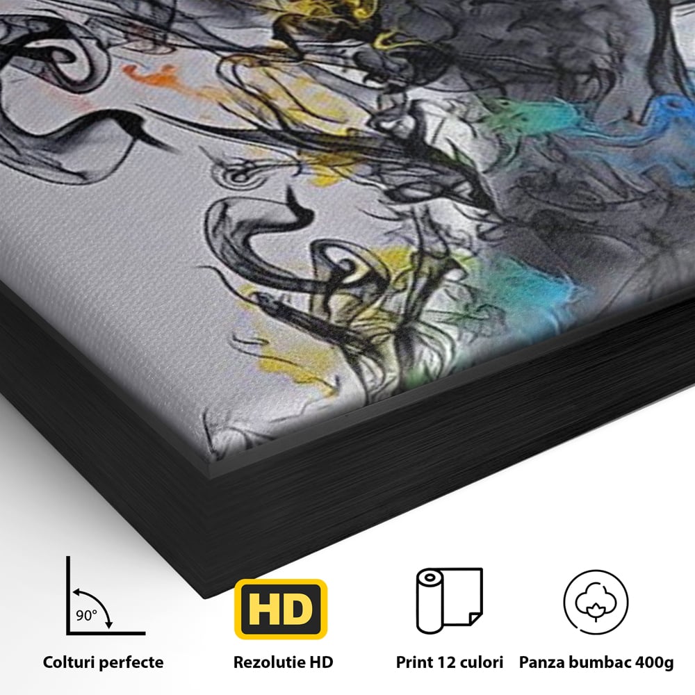 Tablou Canvas Premium LuxCanva® E1038, Femeie in Foc si Fum, Ardere, Foc, Fum, Femeie, Renastere, Living Room, Culori vibrante