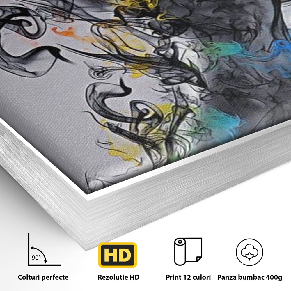 Tablou Canvas Premium LuxCanva® E1038, Femeie in Foc si Fum, Ardere, Foc, Fum, Femeie, Renastere, Living Room, Culori vibrante