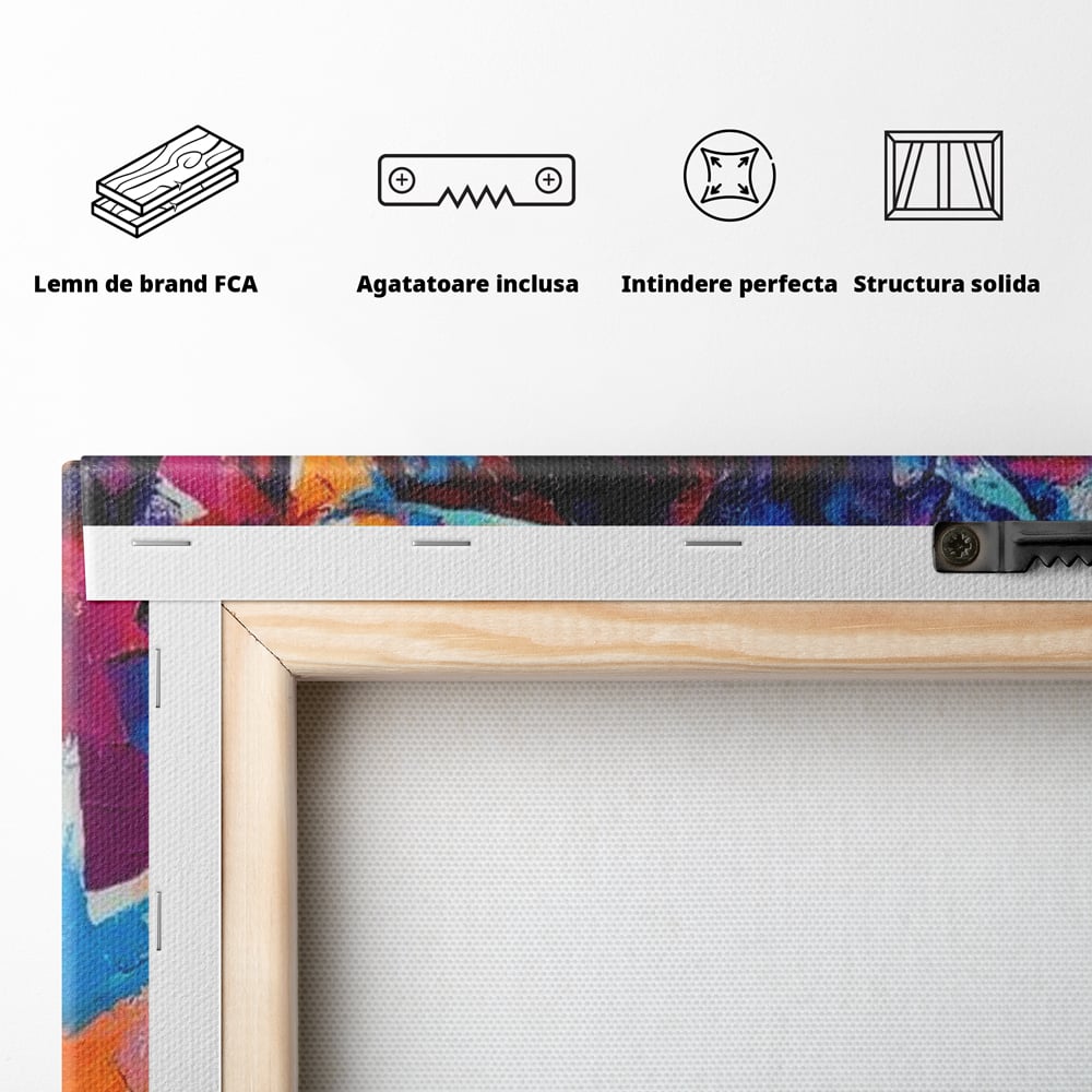 Tablou Canvas Premium LuxCanva® E1042, Femeia in Culori, Cromatic, Privire, Mister, Aparitie, Fotografie, Living Room, Culori vibrante