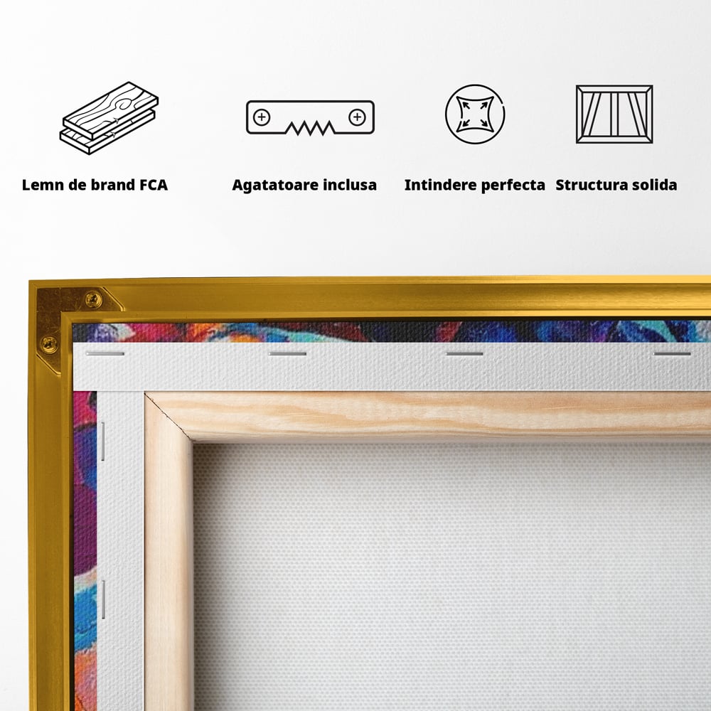 Tablou Canvas Premium LuxCanva® E1042, Femeia in Culori, Cromatic, Privire, Mister, Aparitie, Fotografie, Living Room, Culori vibrante