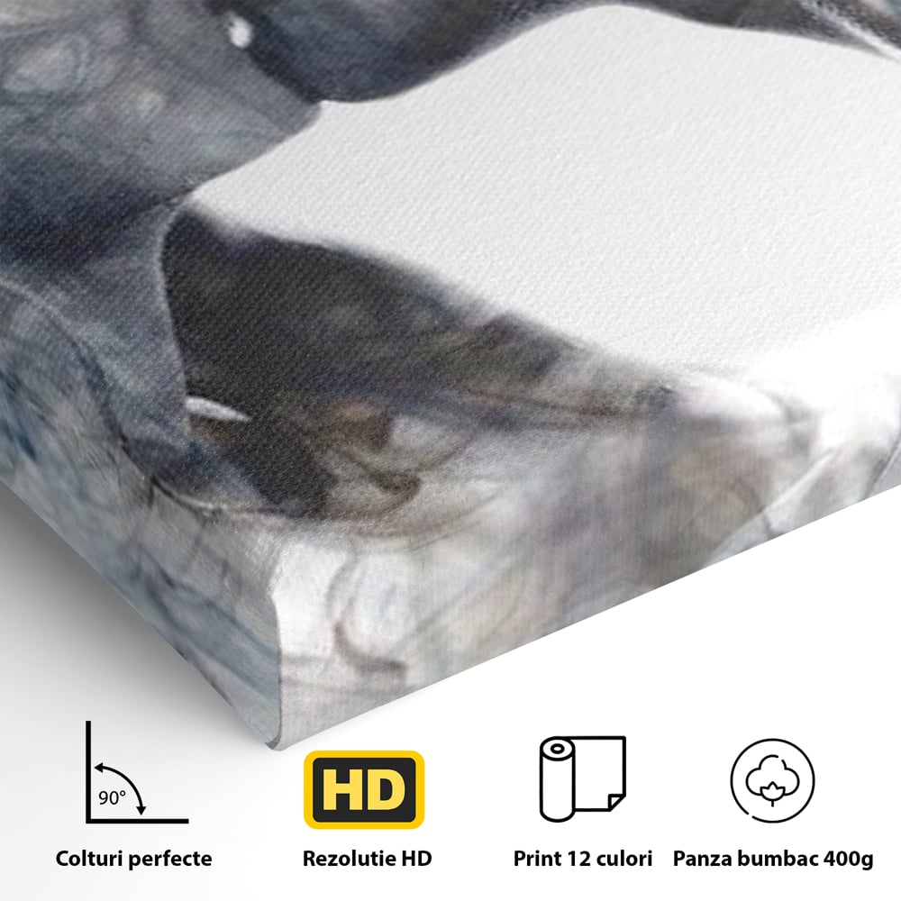 Tablou Canvas Premium LuxCanva® E1043, Sarut Romantic, Pop Art, Urban, Expresivitate, Pasiune, Buze, Alb, Living Room, Culori vibrante