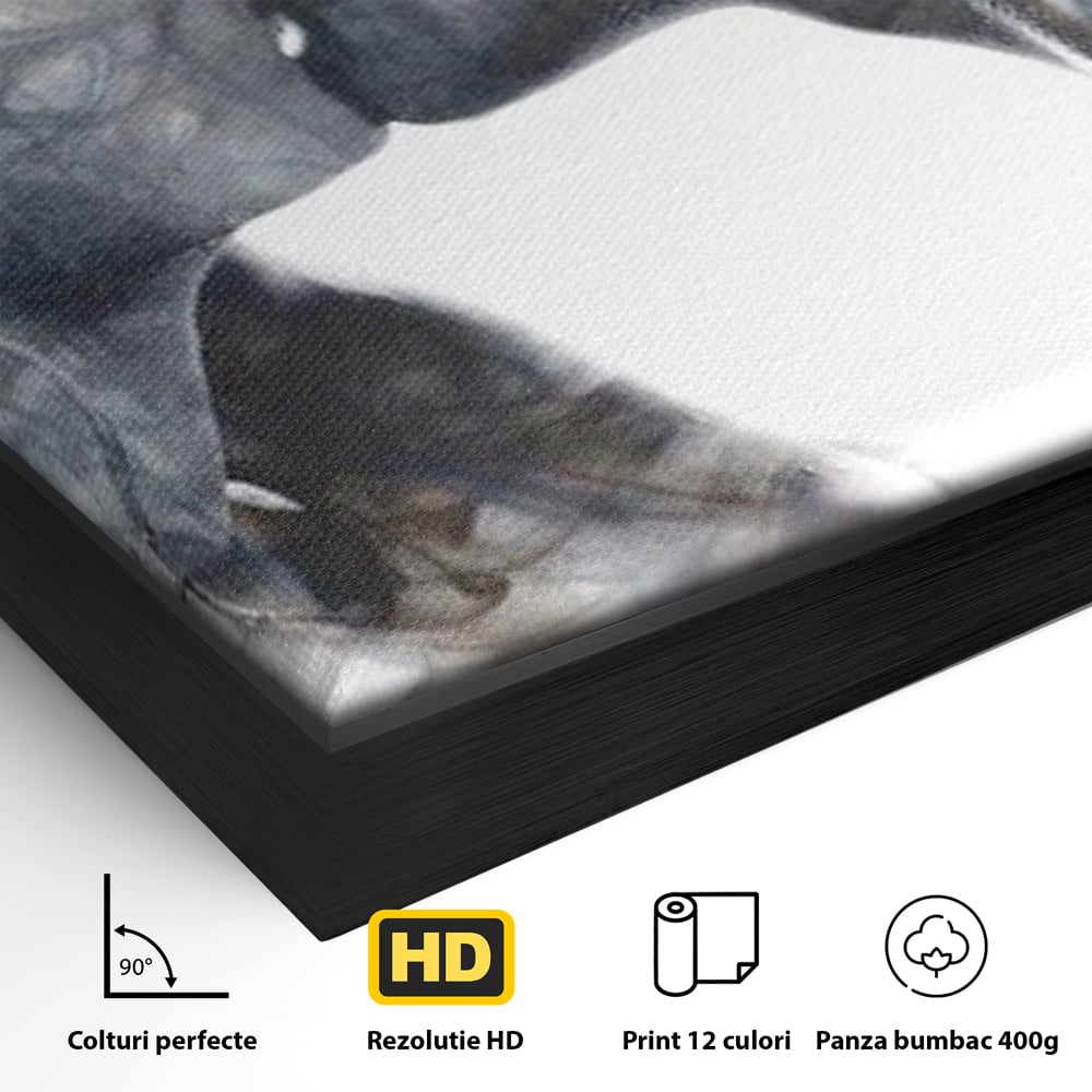 Tablou Canvas Premium LuxCanva® E1043, Sarut Romantic, Pop Art, Urban, Expresivitate, Pasiune, Buze, Alb, Living Room, Culori vibrante