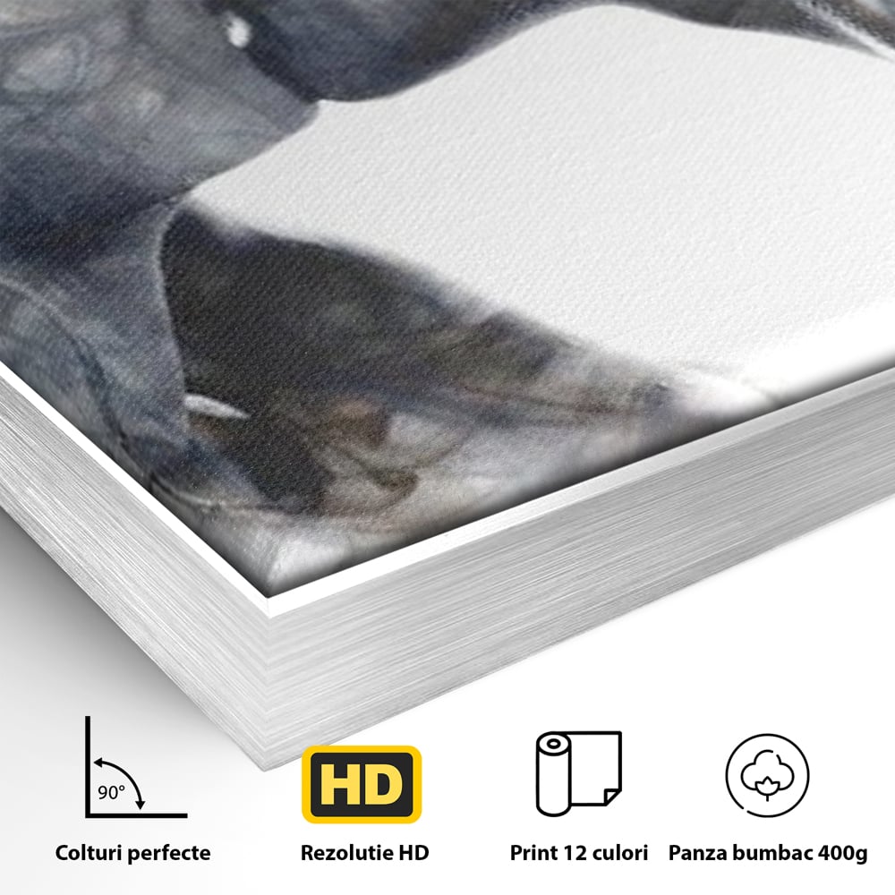 Tablou Canvas Premium LuxCanva® E1043, Sarut Romantic, Pop Art, Urban, Expresivitate, Pasiune, Buze, Alb, Living Room, Culori vibrante