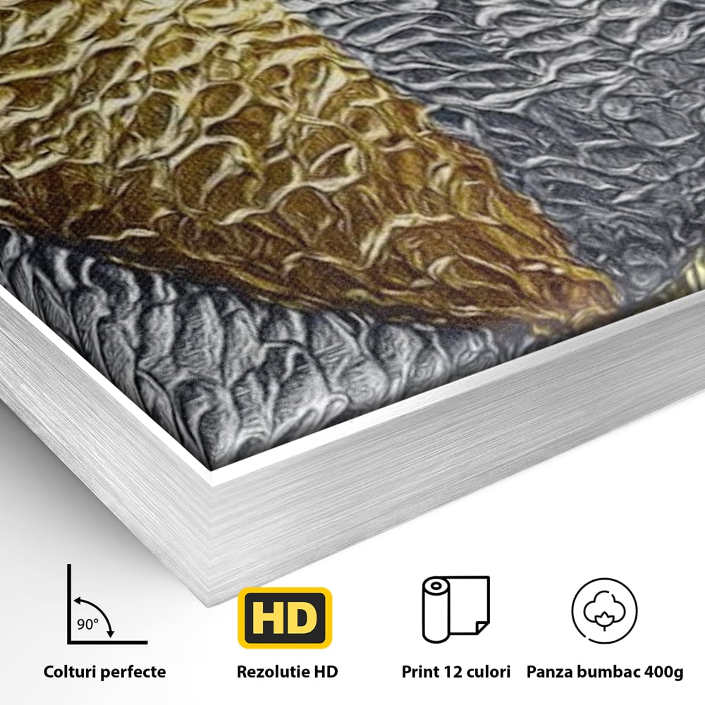 Tablou Canvas Premium LuxCanva® E1053, Inima Dualitatii, Aur, Argint, Stralucire, Textura, Simbolism, Living Room, Culori vibrante