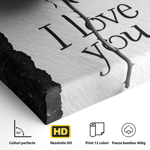 Tablou Canvas Premium, LuxCanva® E1066, Un „Te Iubesc” Nemuritor, Dragoste, Inima, Iubire, Declaratie, Trandafir, Mesaj, Promisiune, Pasiune, Romantism, Fericire, Living, Dormitor