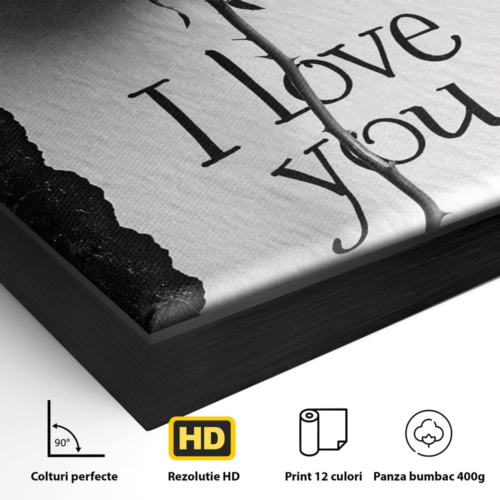 Tablou Canvas Premium, LuxCanva® E1066, Un „Te Iubesc” Nemuritor, Dragoste, Inima, Iubire, Declaratie, Trandafir, Mesaj, Promisiune, Pasiune, Romantism, Fericire, Living, Dormitor