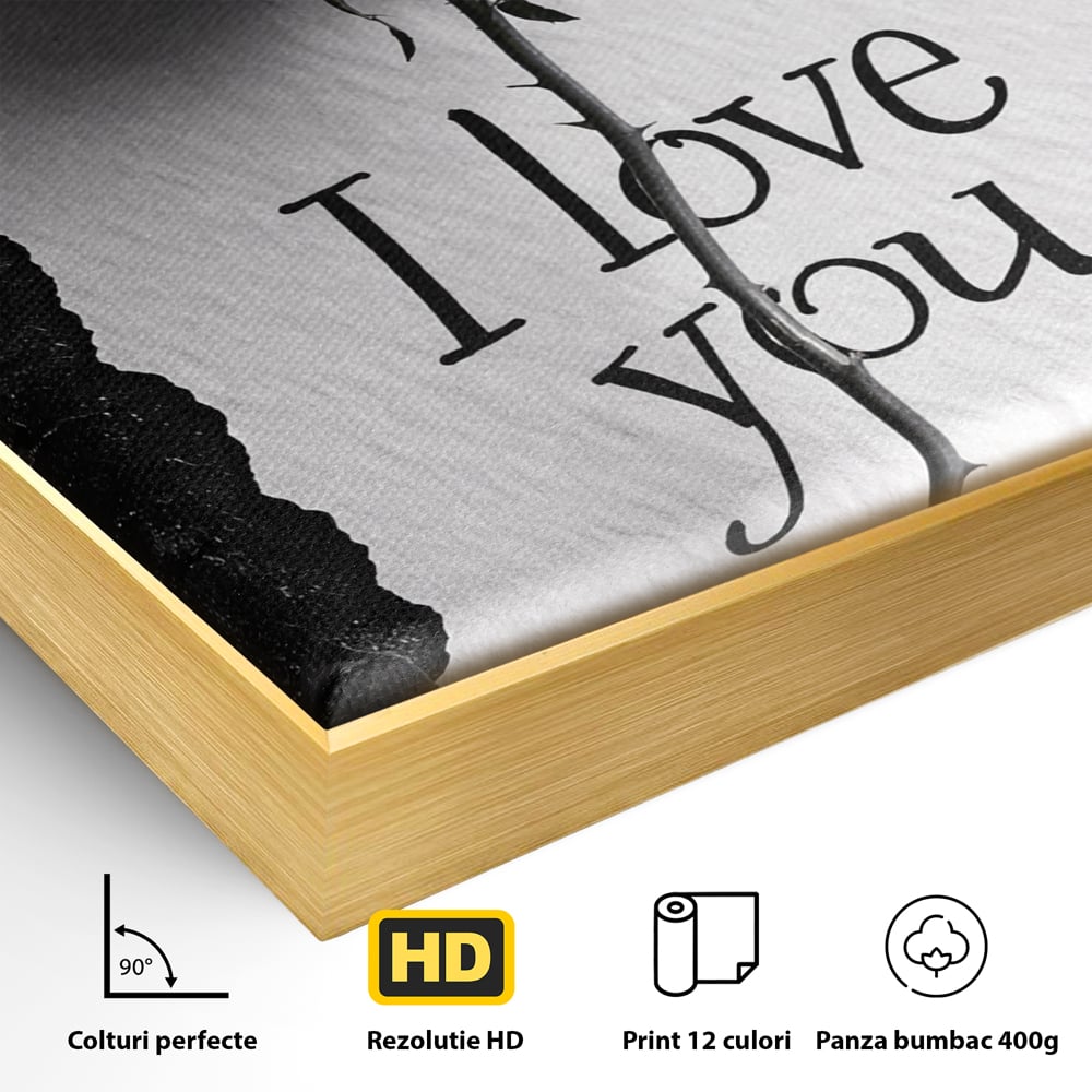 Tablou Canvas Premium, LuxCanva® E1066, Un „Te Iubesc” Nemuritor, Dragoste, Inima, Iubire, Declaratie, Trandafir, Mesaj, Promisiune, Pasiune, Romantism, Fericire, Living, Dormitor