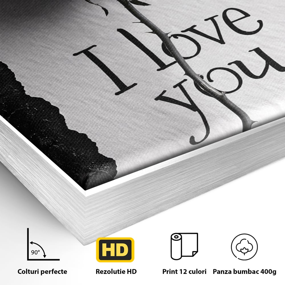 Tablou Canvas Premium, LuxCanva® E1066, Un „Te Iubesc” Nemuritor, Dragoste, Inima, Iubire, Declaratie, Trandafir, Mesaj, Promisiune, Pasiune, Romantism, Fericire, Living, Dormitor