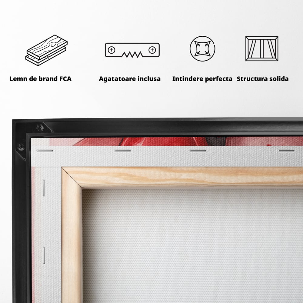 Tablou Canvas Premium, LuxCanva® E1069, Inimi pentru Valentine’s Day, Dragoste, Eternitate, Baloane, Inima, Rosu, Declaratie, Plutire, Aer, Cadou, Emotie, Daruire, Cuplu, Living, Dormitor