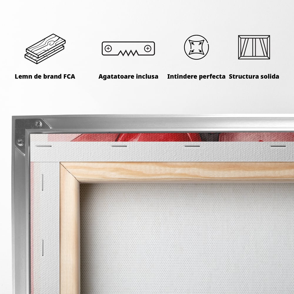 Tablou Canvas Premium, LuxCanva® E1069, Inimi pentru Valentine’s Day, Dragoste, Eternitate, Baloane, Inima, Rosu, Declaratie, Plutire, Aer, Cadou, Emotie, Daruire, Cuplu, Living, Dormitor