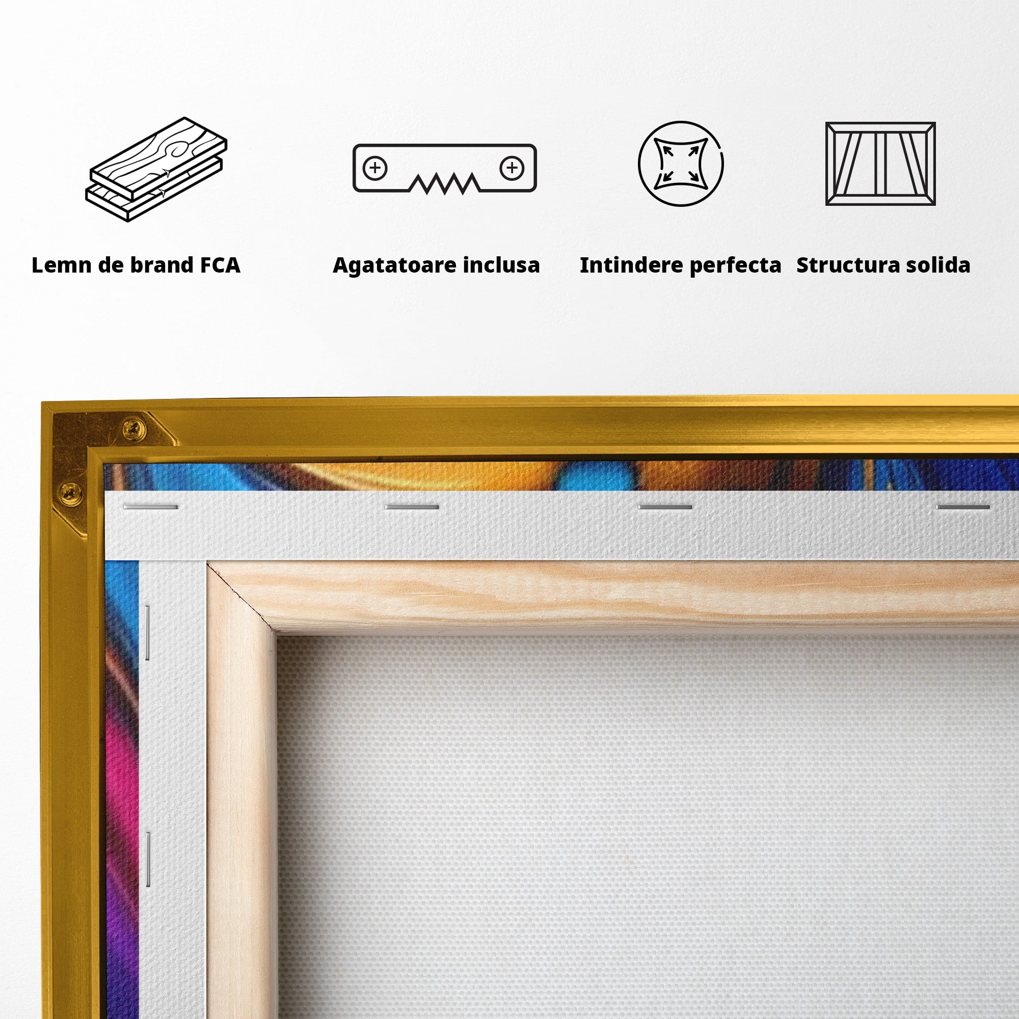 Set 2 Tablouri Canvas Premium LuxCanva® E2-1040, Aripile Vietii, Abstract, Fluid, Texturat, Aripi, Calm, Living Room, Culori vibrante
