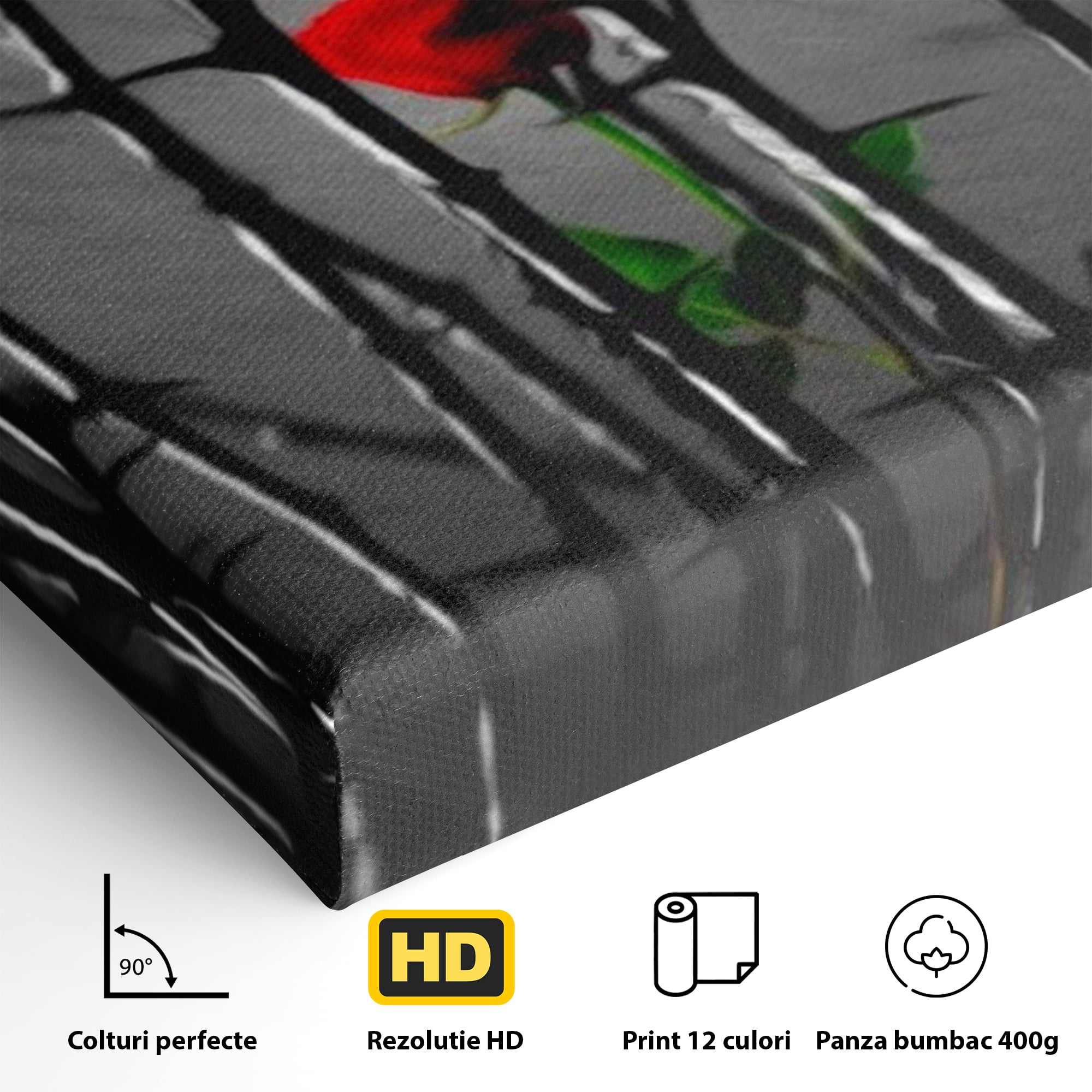 Tablou Canvas Premium LuxCanva® F1000, Puterea de a Inflori , Speranta, Vindecare, Evolutie, Curaj, Perseverenta, Living Room, Culori vibrante