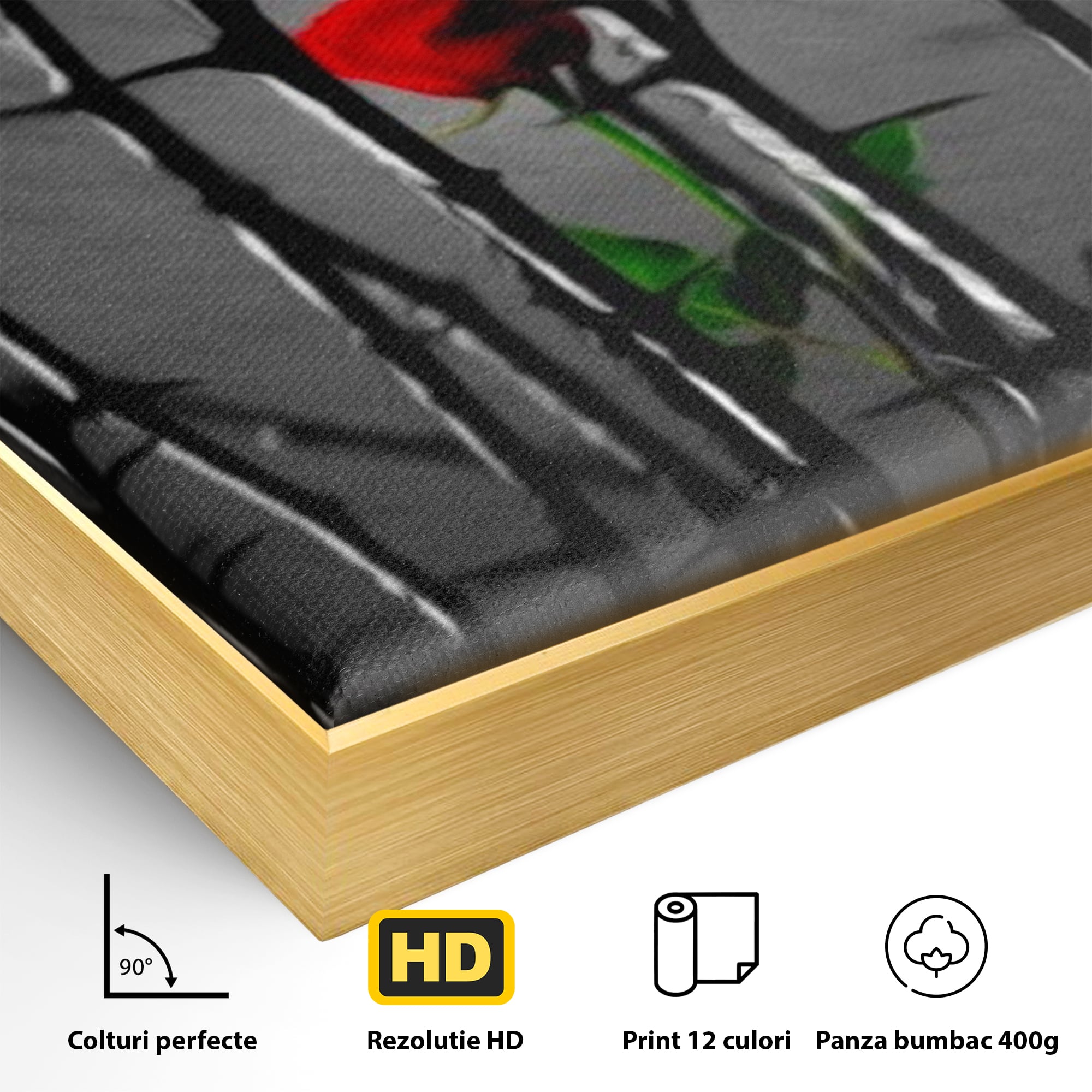 Tablou Canvas Premium LuxCanva® F1000, Puterea de a Inflori , Speranta, Vindecare, Evolutie, Curaj, Perseverenta, Living Room, Culori vibrante