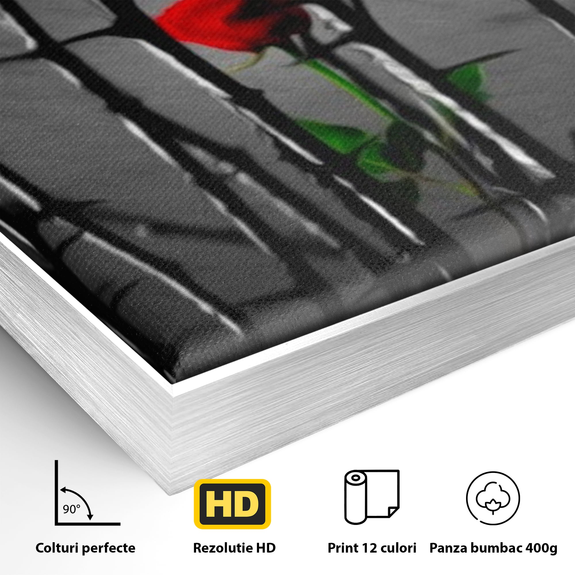 Tablou Canvas Premium LuxCanva® F1000, Puterea de a Inflori , Speranta, Vindecare, Evolutie, Curaj, Perseverenta, Living Room, Culori vibrante