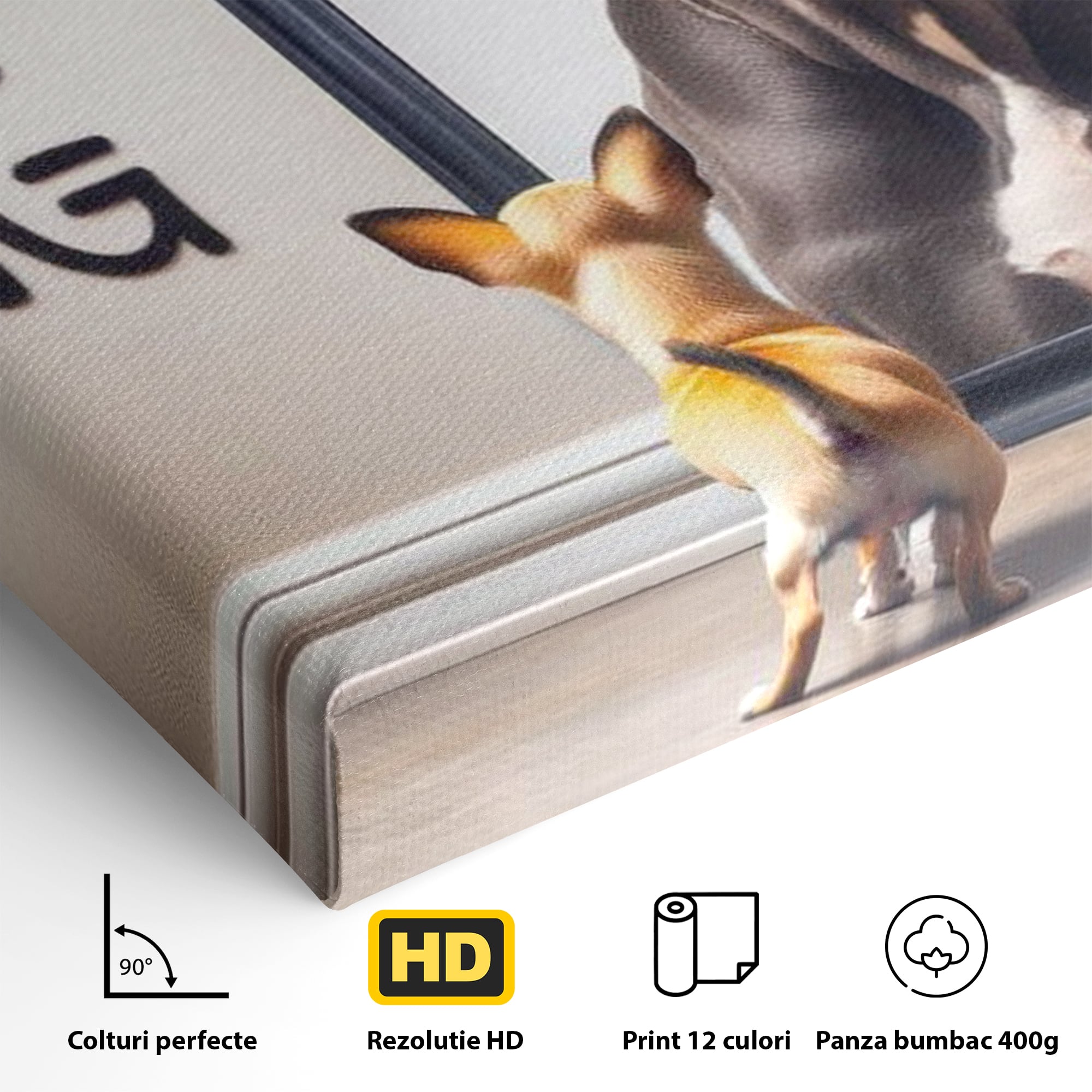 Leinwandbilder Premium LuxCanva® F1001, Die Macht der Träume, Inspiration, Ehrgeiz, Ziele, Gewinner, Hunde, Wohnzimmer, Lebendige Farben