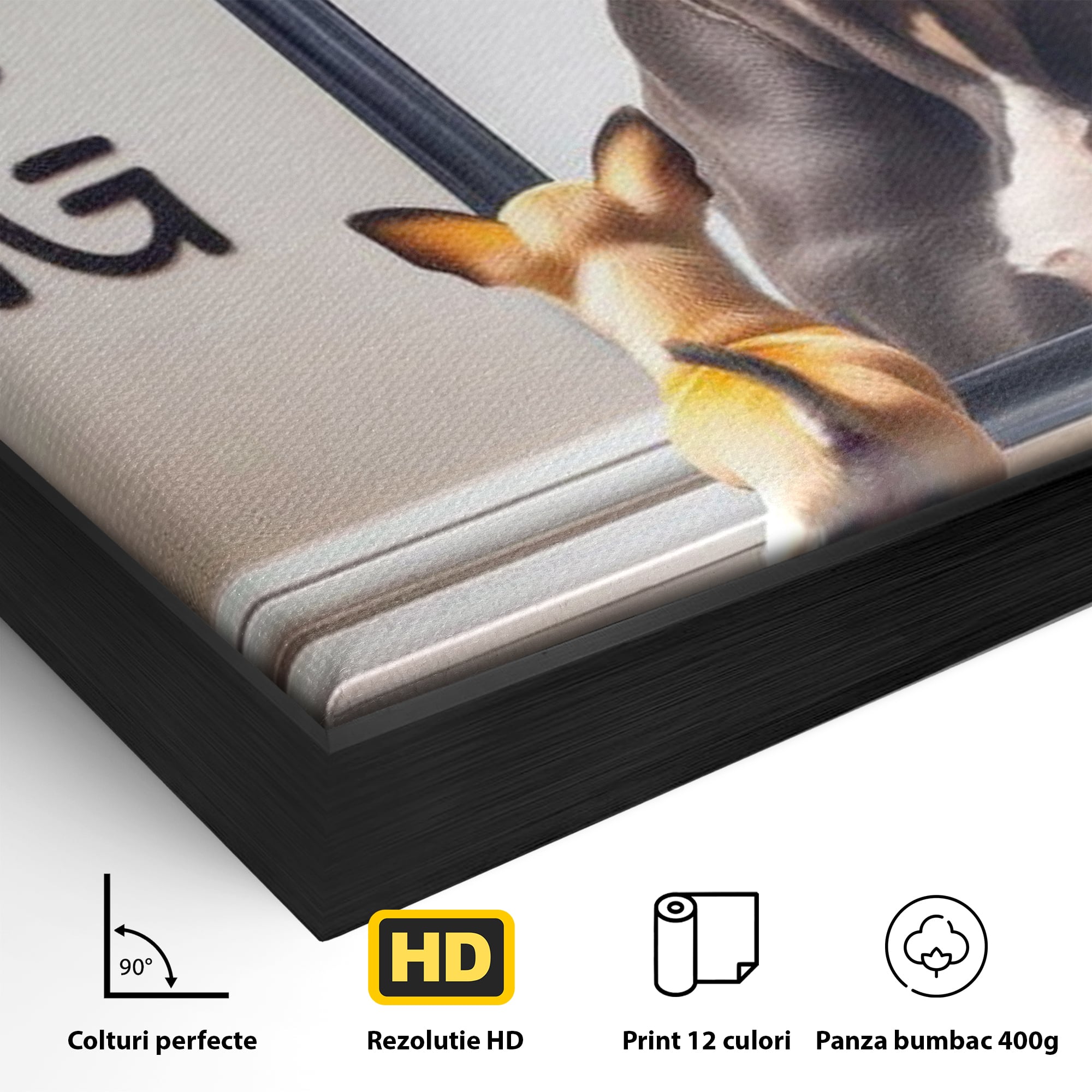 Leinwandbilder Premium LuxCanva® F1001, Die Macht der Träume, Inspiration, Ehrgeiz, Ziele, Gewinner, Hunde, Wohnzimmer, Lebendige Farben