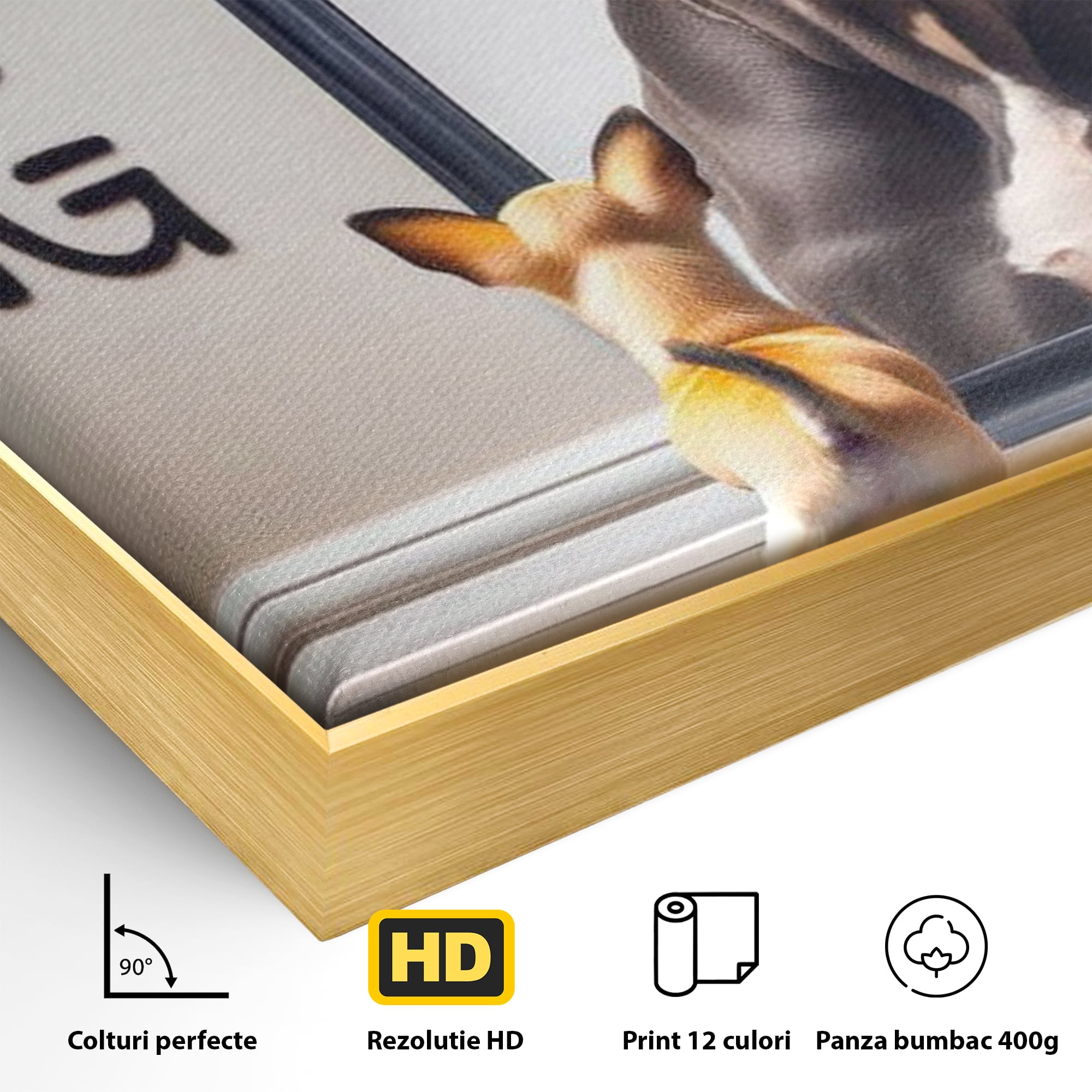 Leinwandbilder Premium LuxCanva® F1001, Die Macht der Träume, Inspiration, Ehrgeiz, Ziele, Gewinner, Hunde, Wohnzimmer, Lebendige Farben
