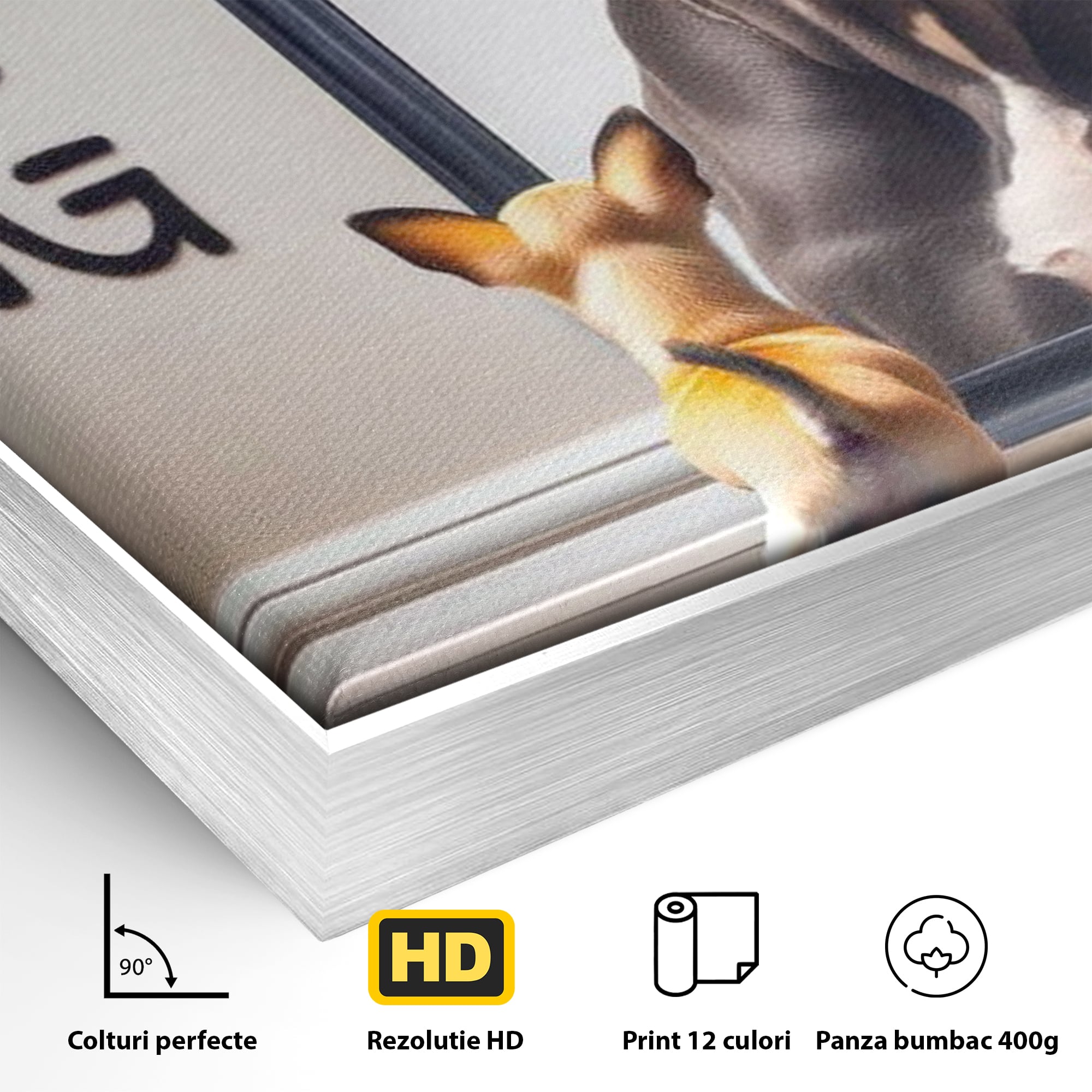 Leinwandbilder Premium LuxCanva® F1001, Die Macht der Träume, Inspiration, Ehrgeiz, Ziele, Gewinner, Hunde, Wohnzimmer, Lebendige Farben