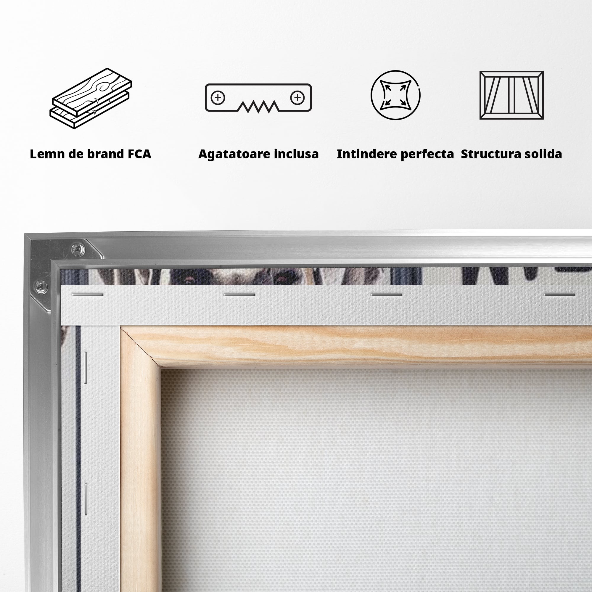 Leinwandbilder Premium LuxCanva® F1001, Die Macht der Träume, Inspiration, Ehrgeiz, Ziele, Gewinner, Hunde, Wohnzimmer, Lebendige Farben