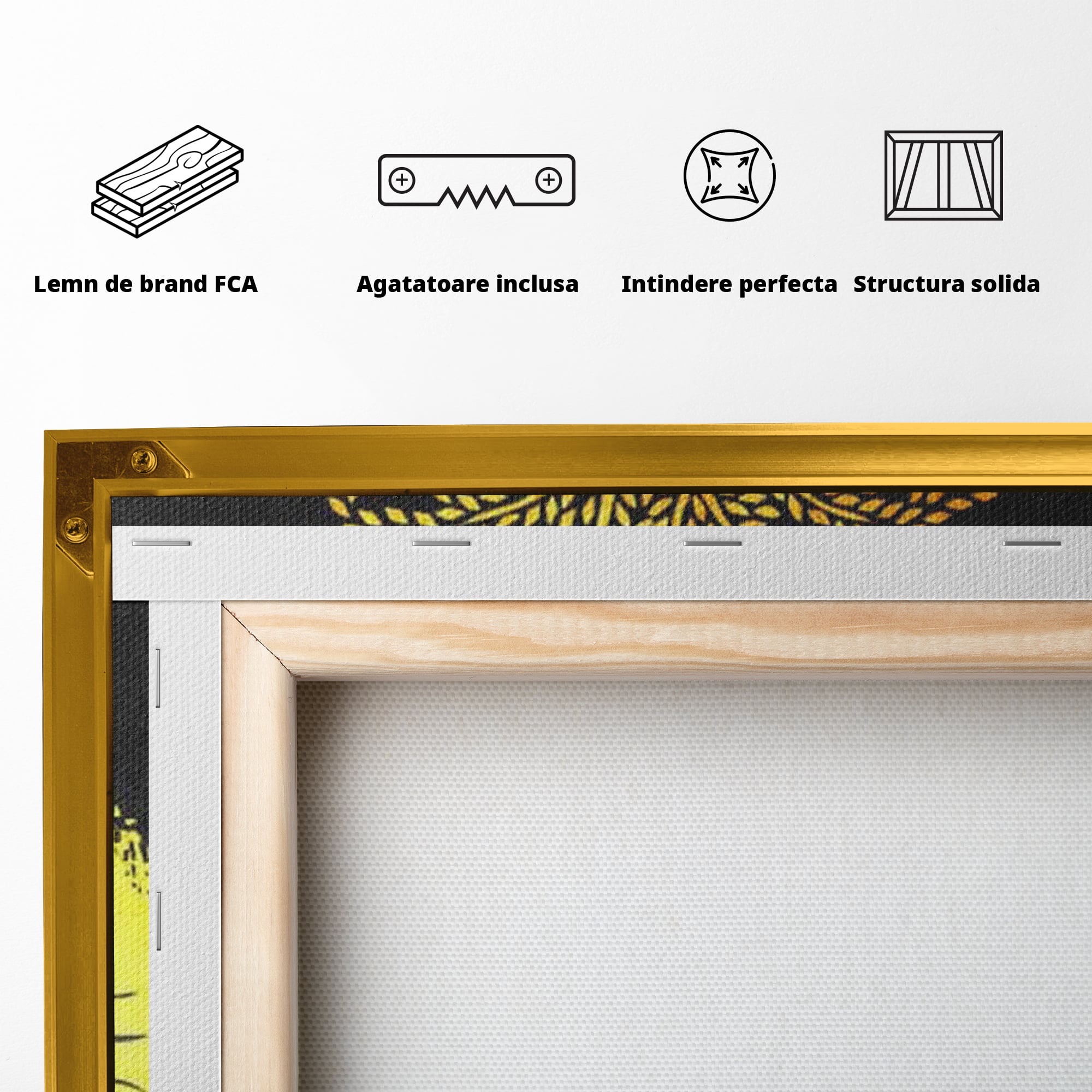 Leinwandbilder Leinwandbilder Premium LuxCanva® F1003, Roots of Success , Opfer, Aufopferung, Arbeit, Gewinner, Wurzeln, Baum, Wohnzimmer, Lebendige Farben