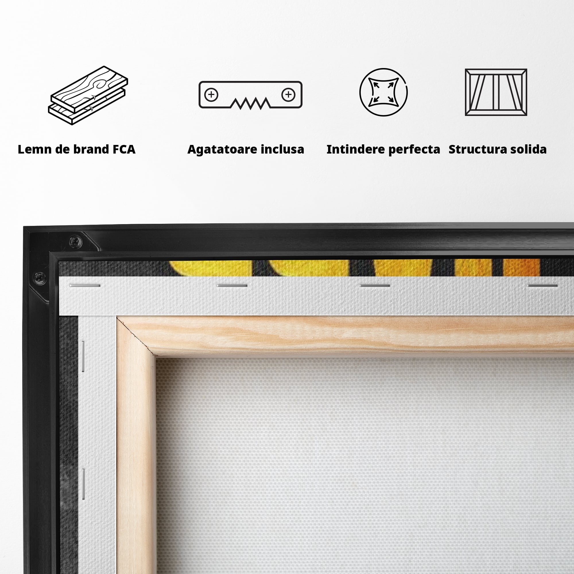 Tablou Canvas Premium LuxCanva® F1004, Munca Invinge Talentul , Succes, Dedicare, Efort, Inspirational, Progres, Living Room, Culori vibrante