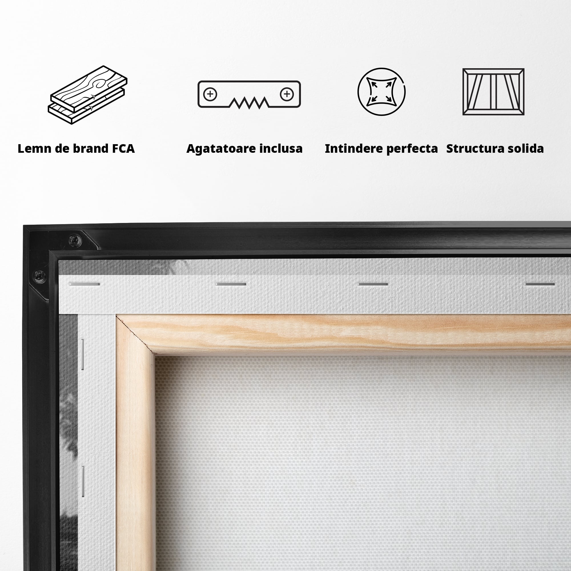 Tablou Canvas Premium LuxCanva® F1007, Puterea de a Merge Inainte , Povara, Demnitate, Echilibru, Forta, Intelepciune, Living, Birou, Culori vibrante