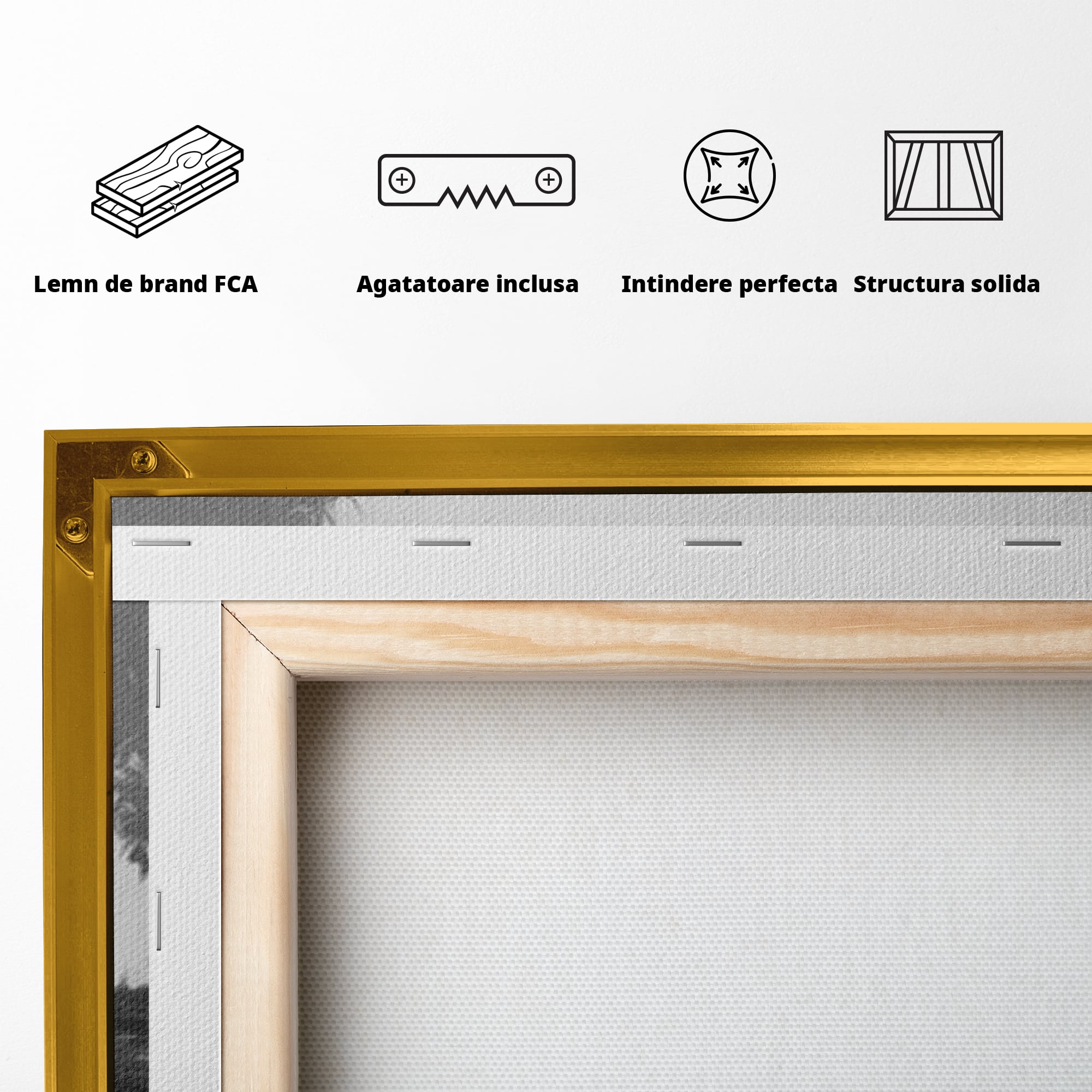 Tablou Canvas Premium LuxCanva® F1007, Puterea de a Merge Inainte , Povara, Demnitate, Echilibru, Forta, Intelepciune, Living, Birou, Culori vibrante