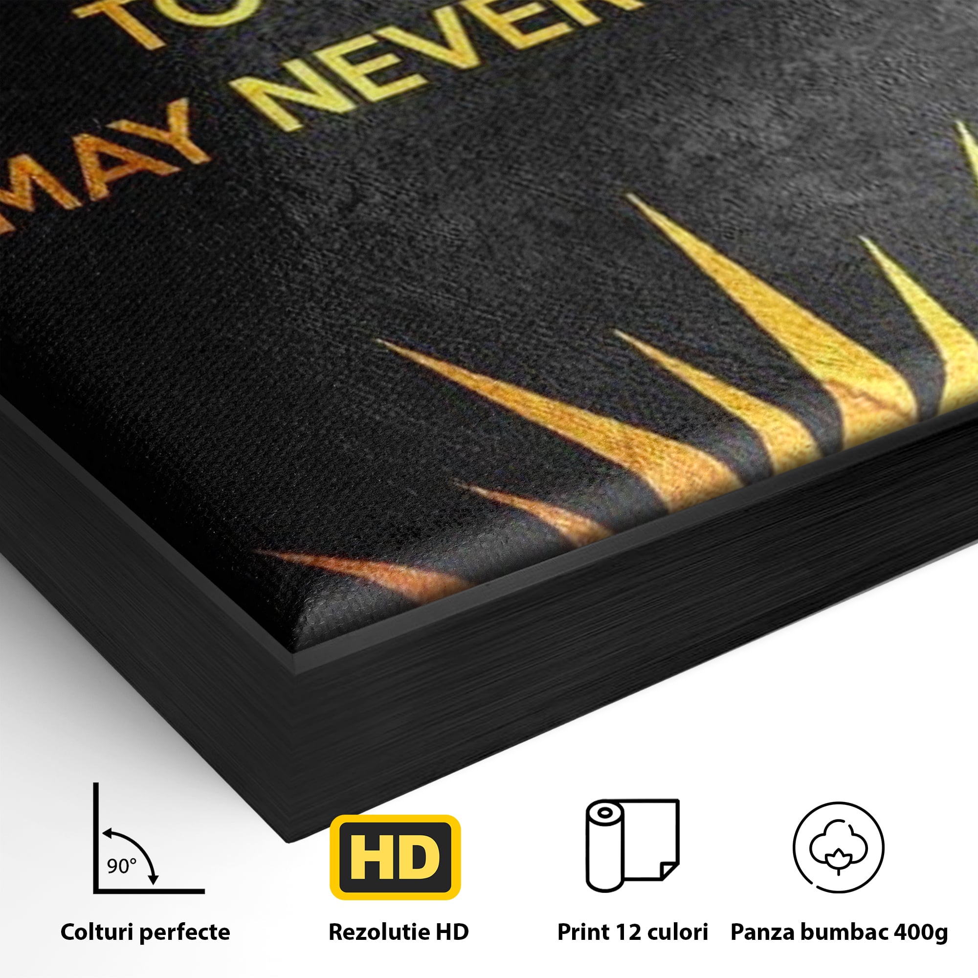 Leinwandbilder Premium LuxCanva® F1008, Das Licht der heutigen Entscheidungen , Bewusstsein, Leben, Entscheidungen, Reflexion, Gelegenheit, Wohnen, Büro, Lebendige Farben
