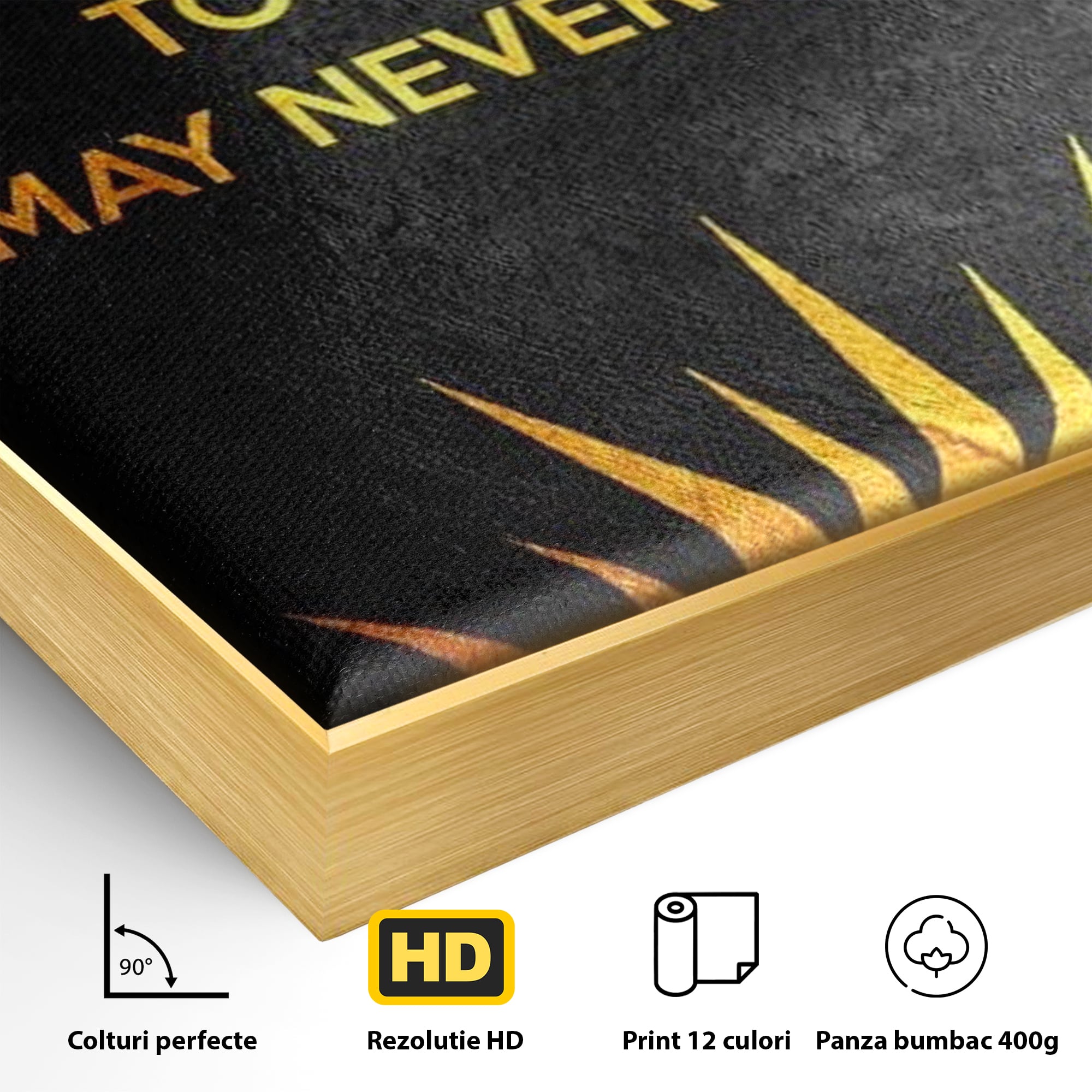 Leinwandbilder Premium LuxCanva® F1008, Das Licht der heutigen Entscheidungen , Bewusstsein, Leben, Entscheidungen, Reflexion, Gelegenheit, Wohnen, Büro, Lebendige Farben