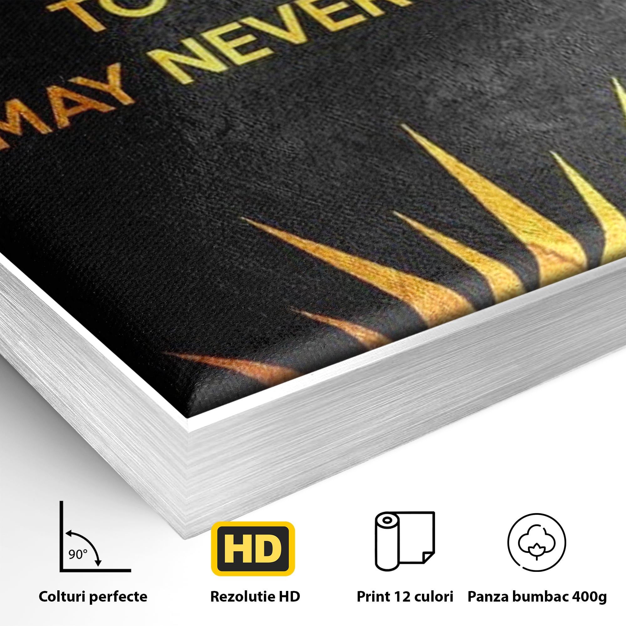 Leinwandbilder Premium LuxCanva® F1008, Das Licht der heutigen Entscheidungen , Bewusstsein, Leben, Entscheidungen, Reflexion, Gelegenheit, Wohnen, Büro, Lebendige Farben