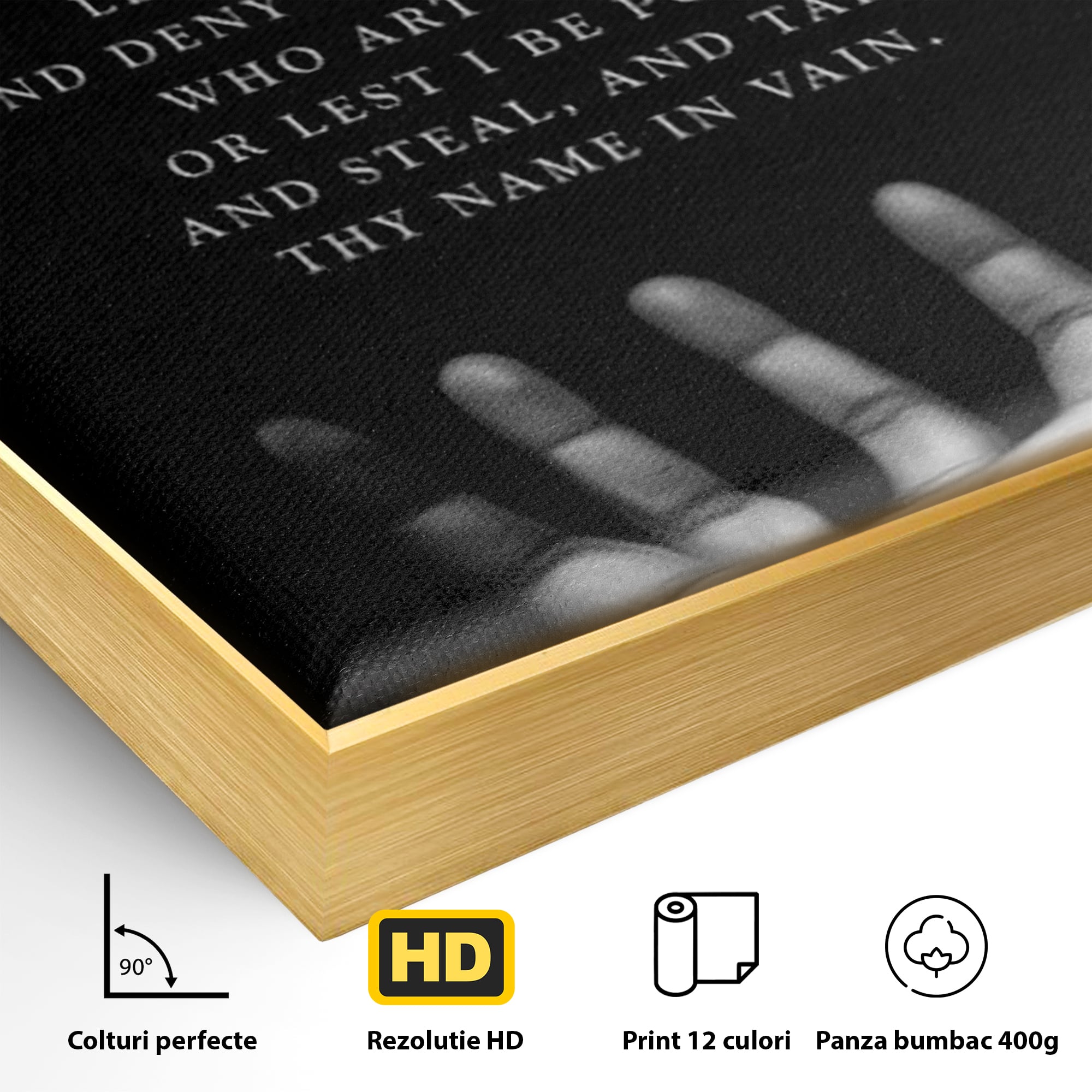 Tablou Canvas Premium LuxCanva® F1011, Echilibrul Vietii , Spiritual, Smerenie, Profunzime, Credinta, Rugaciune, Living, Birou, Culori vibrante