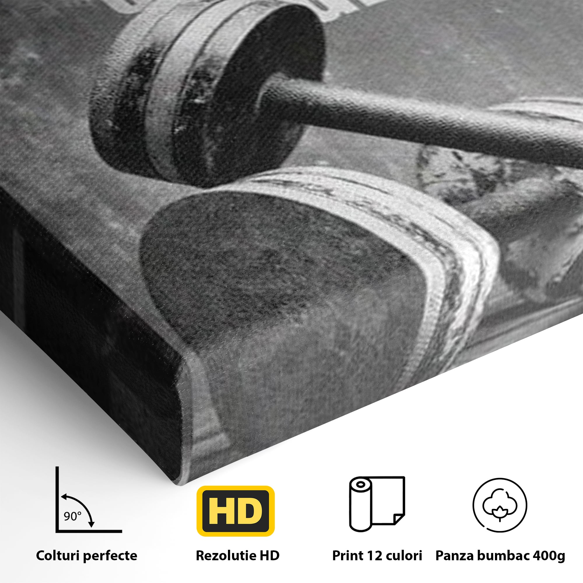 Tablou Canvas Premium  LuxCanva® F1020, Putere Si Perseverenta , Rezistenta, Sport, Disciplina, Determinare, Antrenament, Living, Birou, Sala Sport
