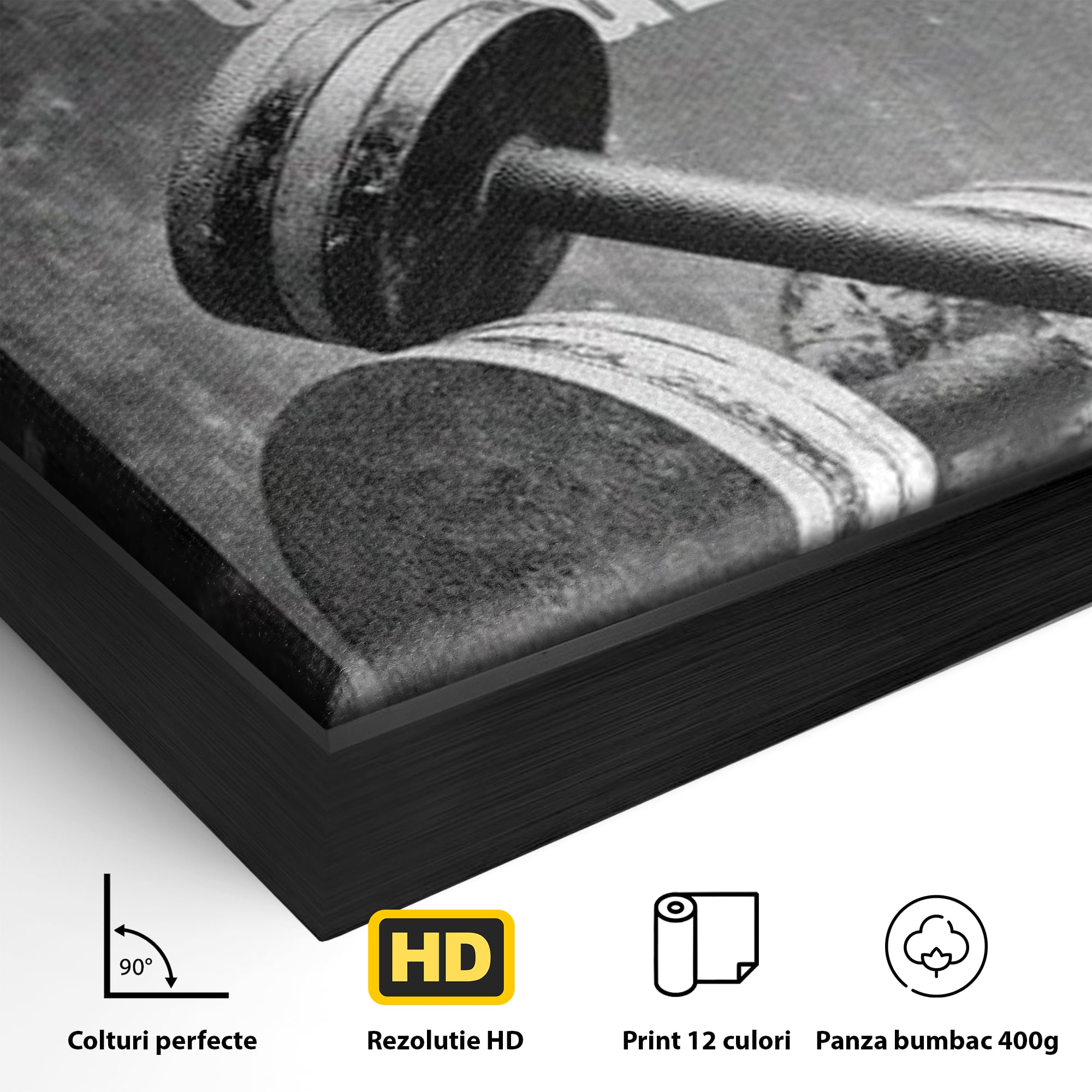 Tablou Canvas Premium  LuxCanva® F1020, Putere Si Perseverenta , Rezistenta, Sport, Disciplina, Determinare, Antrenament, Living, Birou, Sala Sport