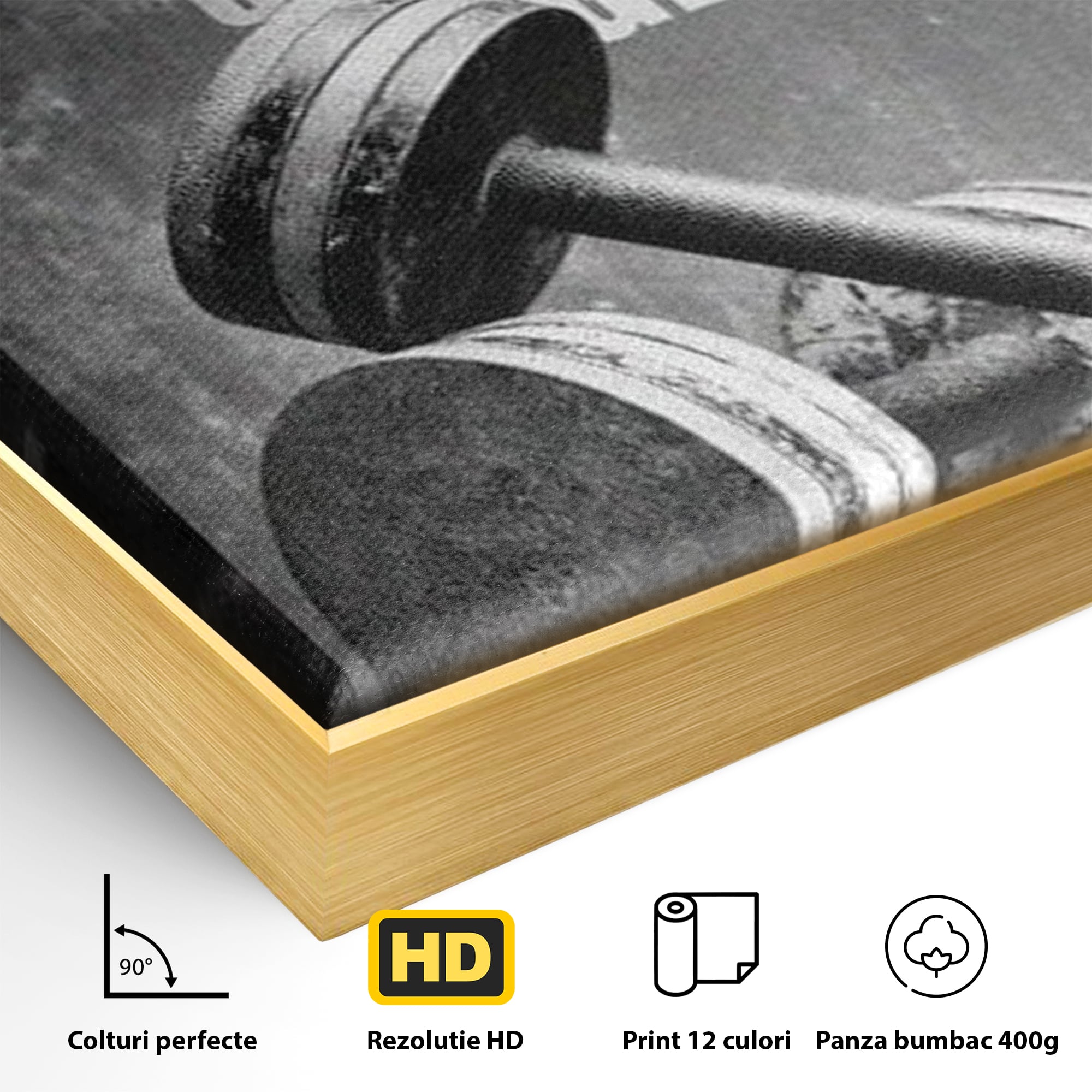 Tablou Canvas Premium  LuxCanva® F1020, Putere Si Perseverenta , Rezistenta, Sport, Disciplina, Determinare, Antrenament, Living, Birou, Sala Sport
