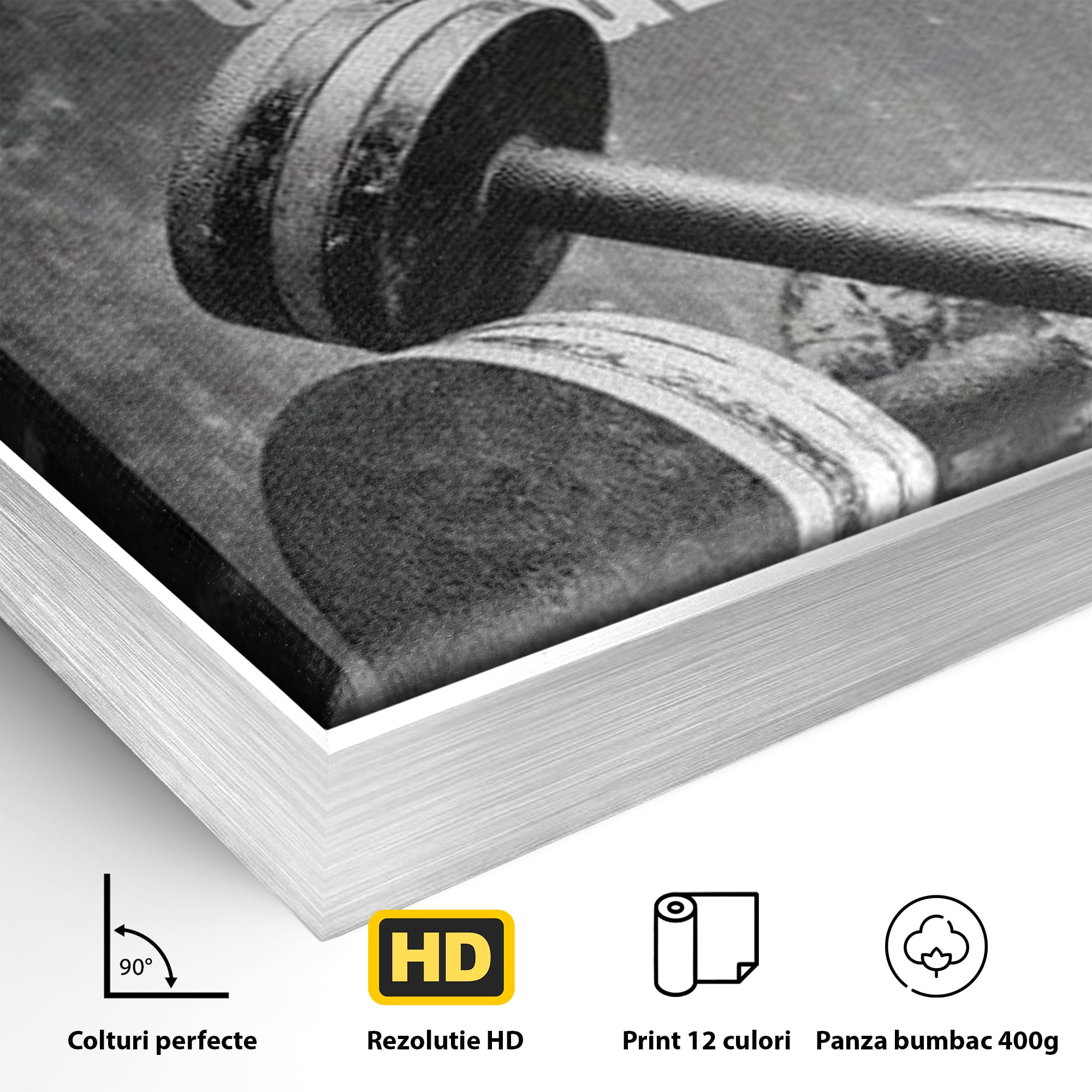 Tablou Canvas Premium  LuxCanva® F1020, Putere Si Perseverenta , Rezistenta, Sport, Disciplina, Determinare, Antrenament, Living, Birou, Sala Sport