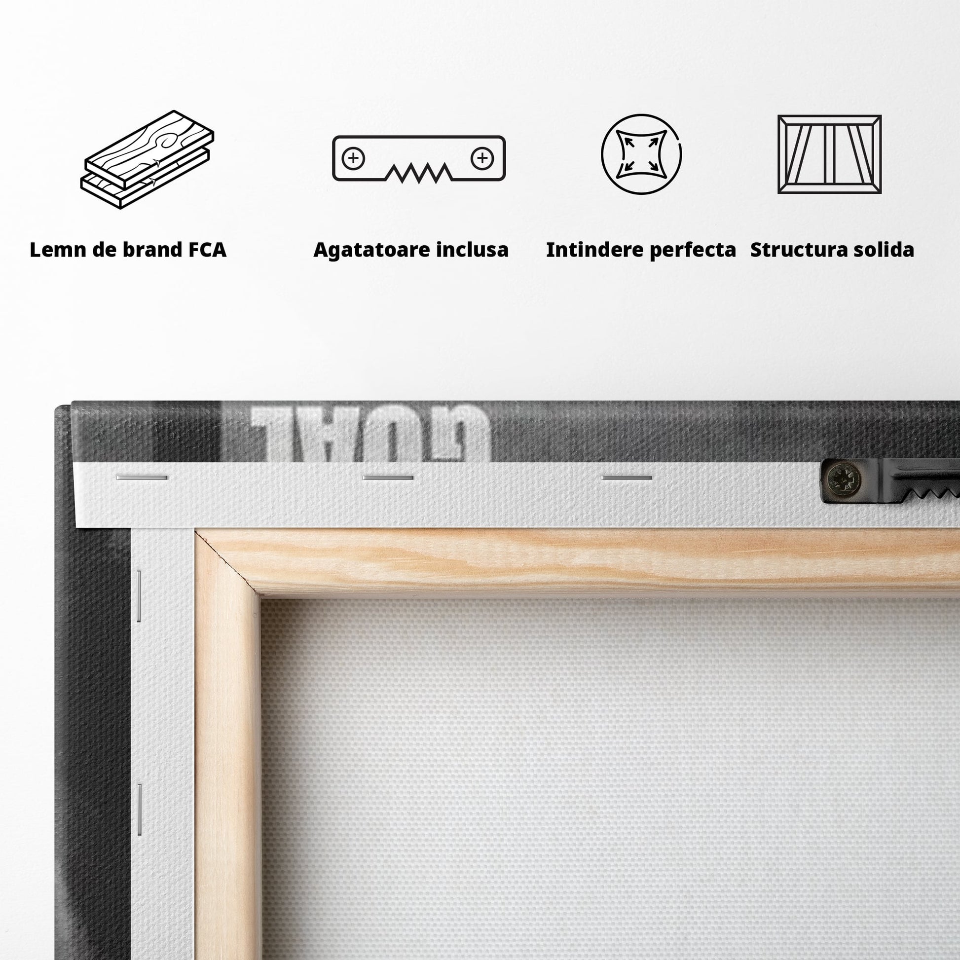 Tablou Canvas Premium  LuxCanva® F1020, Putere Si Perseverenta , Rezistenta, Sport, Disciplina, Determinare, Antrenament, Living, Birou, Sala Sport