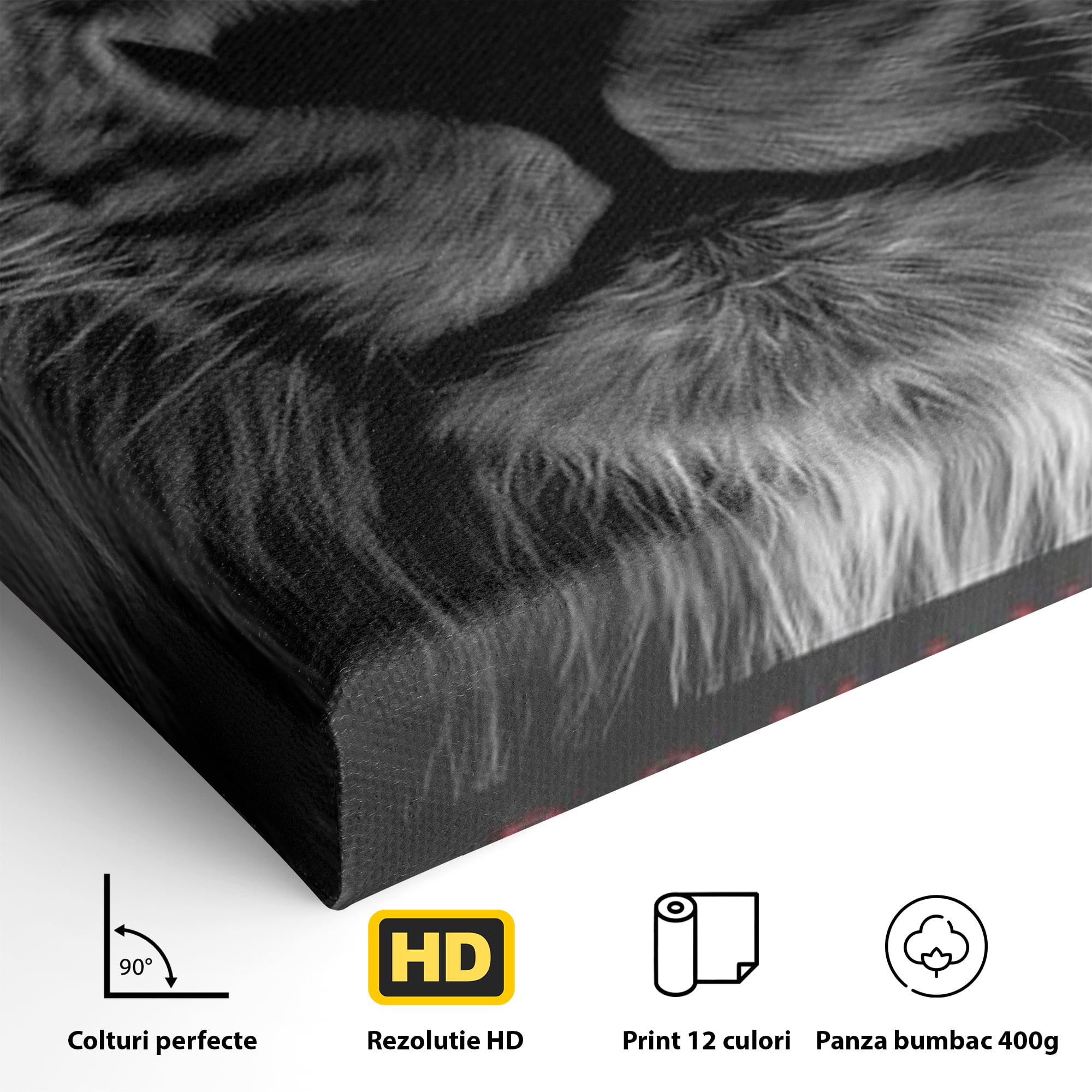 Tablou Canvas Premium LuxCanva® F1021, Fii Rege , Leu, Lider, Puternic, Jungla, Forta, Savana, Coroana, Impunator, Living Room, Birou, Culori vibrante