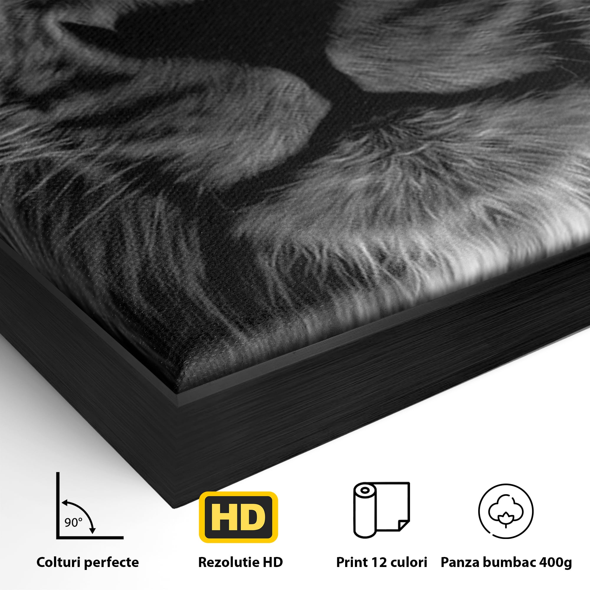 Tablou Canvas Premium LuxCanva® F1021, Fii Rege , Leu, Lider, Puternic, Jungla, Forta, Savana, Coroana, Impunator, Living Room, Birou, Culori vibrante